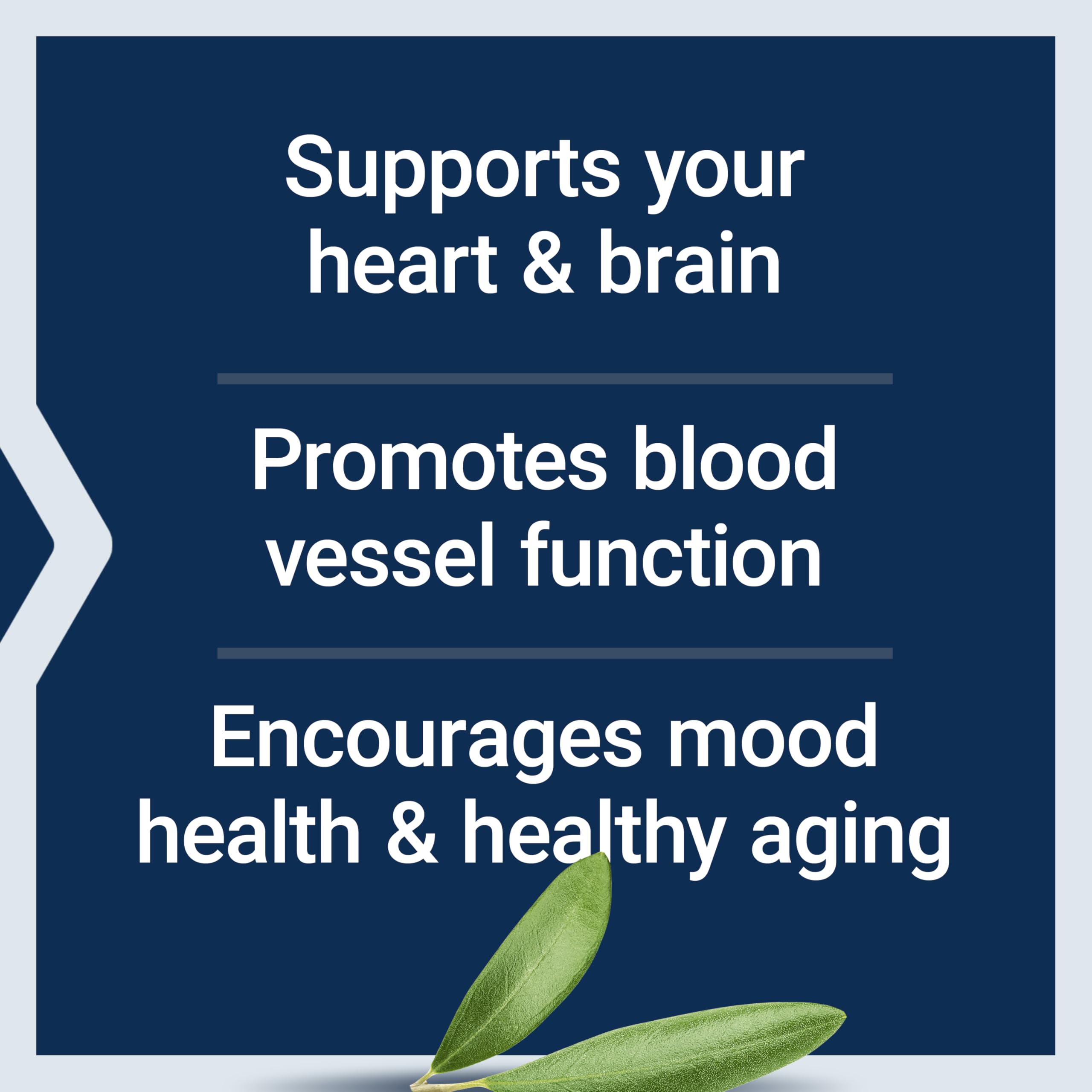 Life Extension Super Omega-3 EPA/DHA Fish Oil, Sesame Lignans & Olive Extract – Heart Health, Brain Health, Inflammation Health Support, Gluten-Free, Enteric-Coated, Non-GMO, 120 Softgels