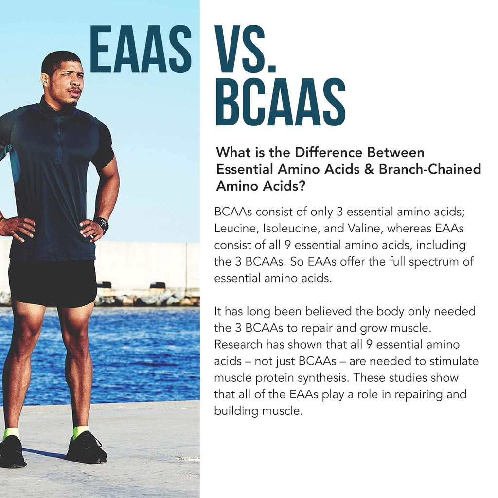 Plant Aminos Organic Essential Amino Acid Supplement (EAAs) & BCAA - 100% Plant-Based Raw, Vegan - All 9 Essential Amino Acids with 18 Total Amino Acids (360 Tablets)