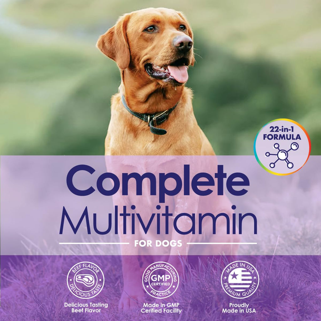 Dog Multivitamin Chewable - 22 in 1 Dog Vitamins and Supplements with Green Lipped Mussel & Omega 3 for Joints, Skin & Coat, Immune System - Senior & Puppy Multivitamin for Dogs - 60 Beef Chews