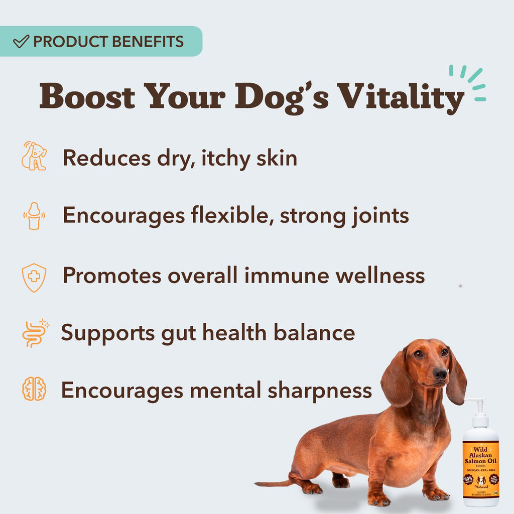Natural Dog Company Wild Alaskan Salmon Oil for Dogs - Omega 3 Fish Oil Supplement with EPA & DHA for Skin, Coat, Itch Relief, Joints, Heart & Immune Support, Liquid Food Topper, 16 oz