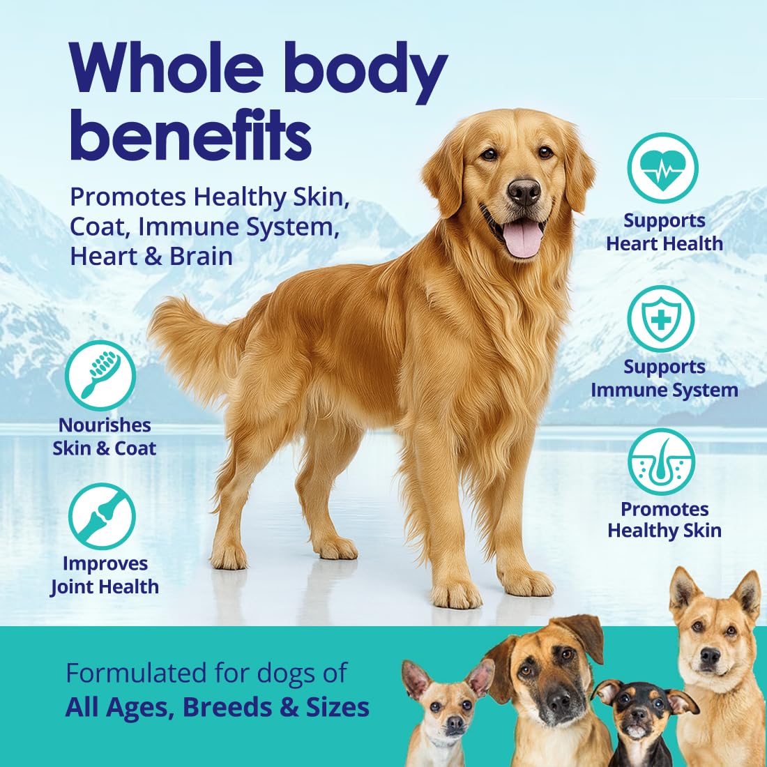 Wild Omega 3 Fish Oil for Dogs - Dog Fish Oil Liquid to Reduce Shedding & Itching - Supports Joints, Brain, and Heart Health - Fish Oil for Dogs Skin and Coat Supplement - Rich in EPA + DHA - 12oz