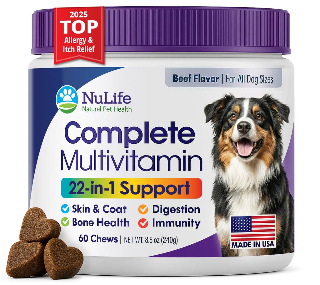 Dog Multivitamin Chewable - 22 in 1 Dog Vitamins and Supplements with Green Lipped Mussel & Omega 3 for Joints, Skin & Coat, Immune System - Senior & Puppy Multivitamin for Dogs - 60 Beef Chews