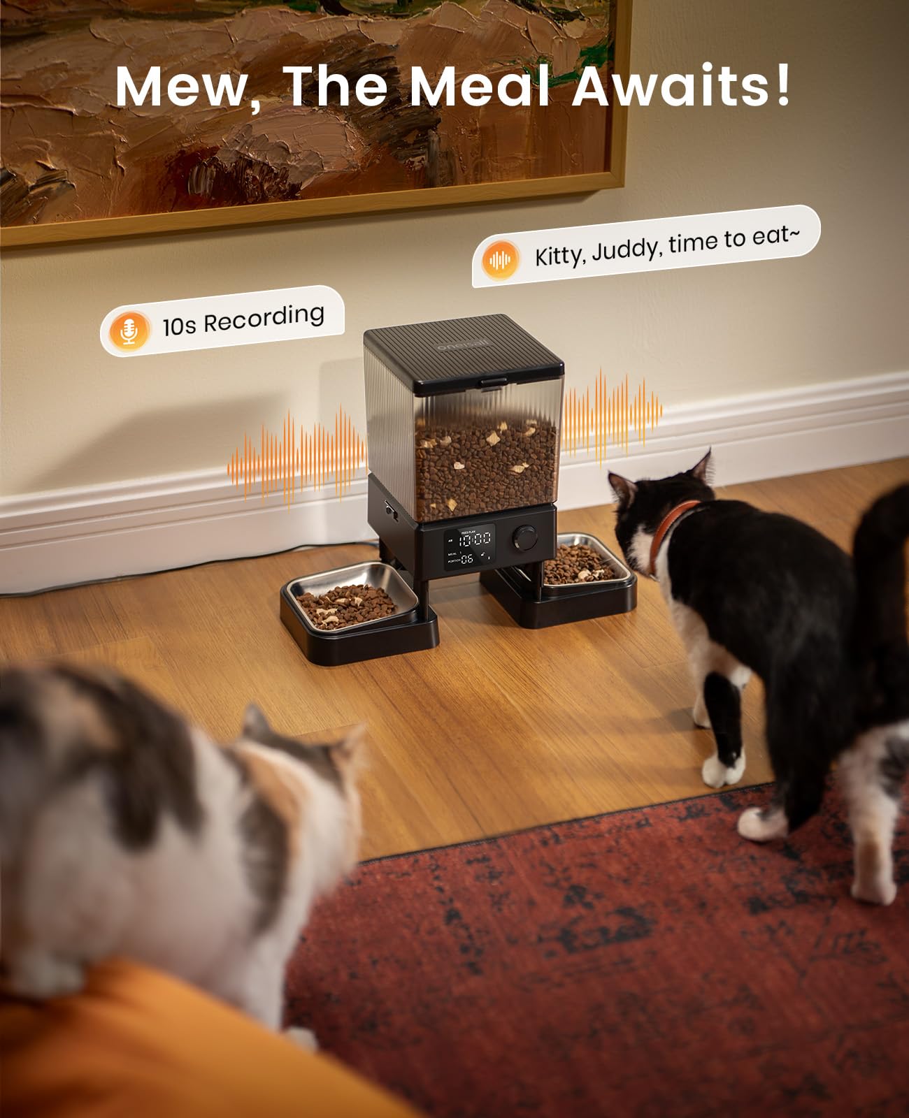 oneisall Automatic Cat Feeder for 2 Cats Pets, Timed Cat Food Dispenser