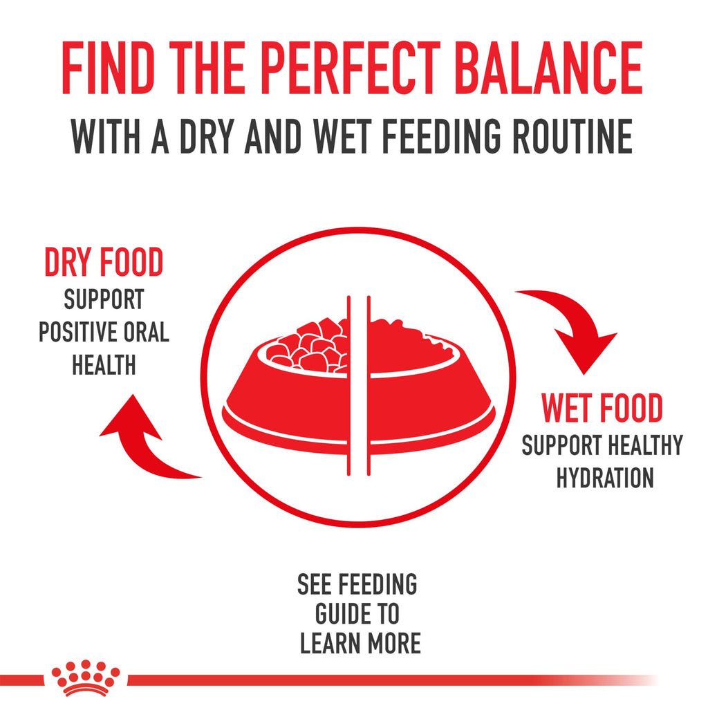 Royal Canin Yorkshire Terrier Adult Wet Dog Food, 3 oz, 6-Pack