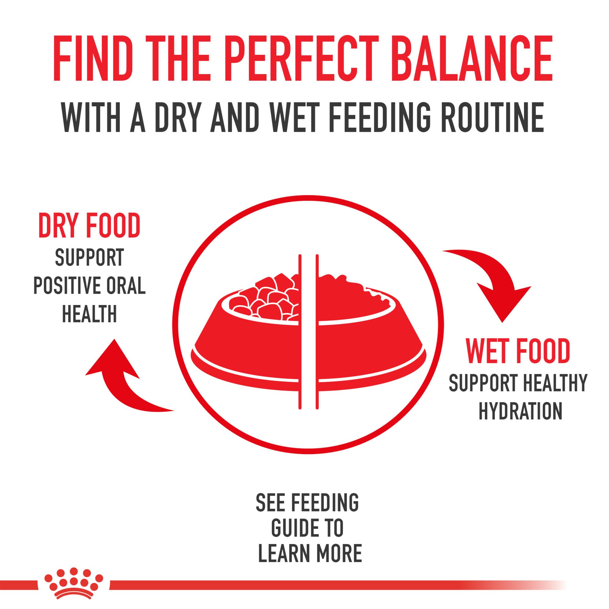 Royal Canin Yorkshire Terrier Adult Wet Dog Food, 3 oz, 6-Pack