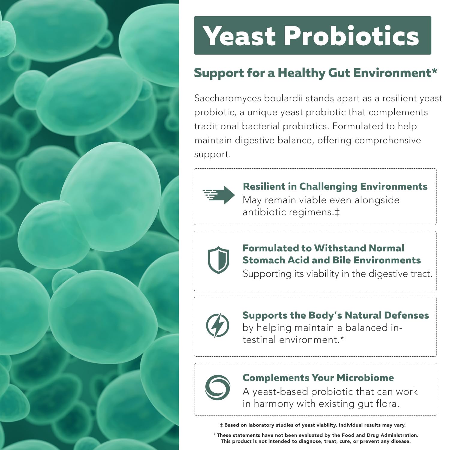 Organic Saccharomyces Boulardii - 10 Billion CFU - Clinically Validated CNCM I-1079 Probiotic Strain - Gut, Digestion & Healthy Bowel Support - First Organic Form of S. Boulardii Probiotic - 60 Count