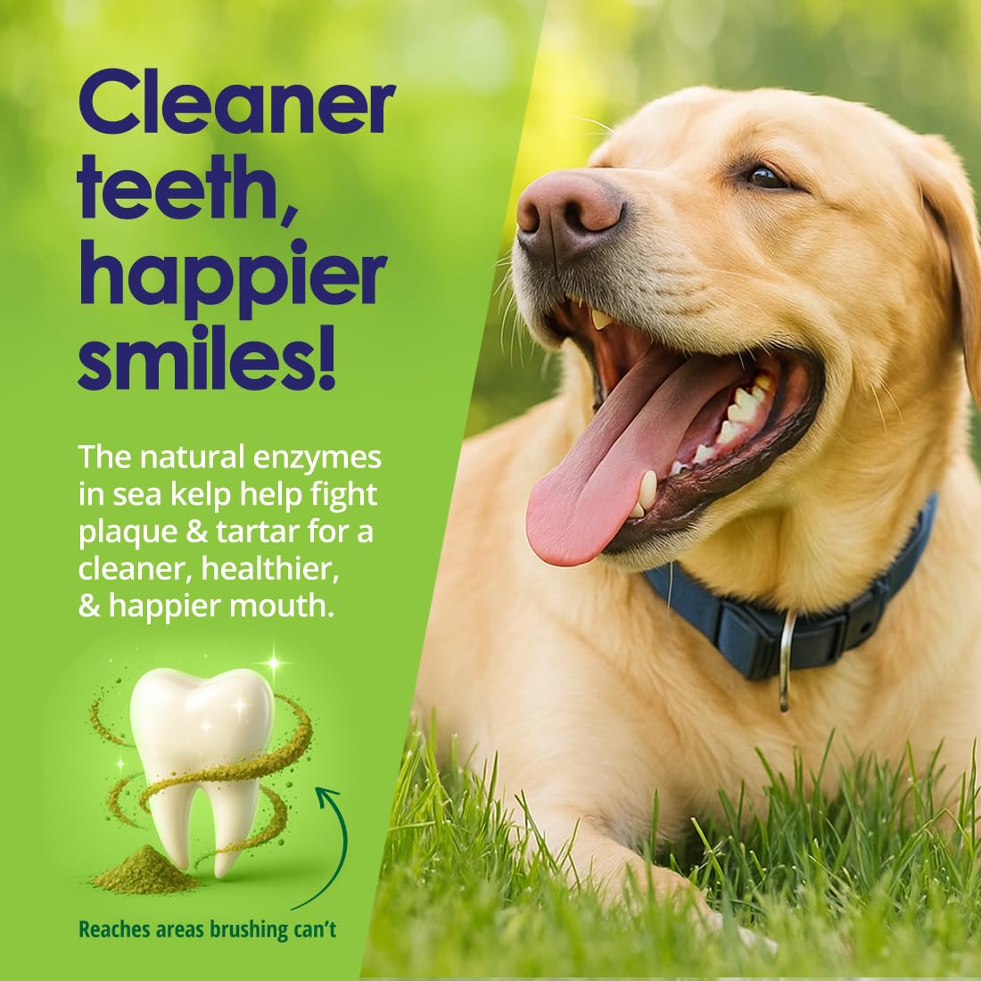 NuLife Natural Pet Health Dog Teeth Cleaning Powder, Dog Plaque and Tartar Remover, Bad Breath Treatment for Dogs with USDA Organic Sea Kelp Powder, Dog Dental Care Made Easy, for All Ages, 12 oz