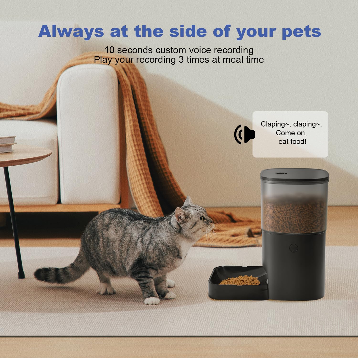 ANDOLL HOME Automatic Cat Feeder, Cat Food Dispenser with 10s Voice Recorder, Pet Feeder up to 8 Meals per Day, Timed Feeder with Dry Food Sealed Ring