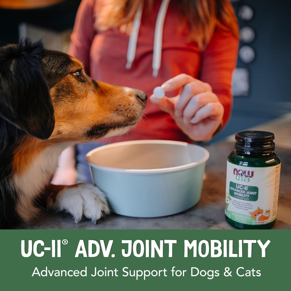 Now® Pets, UC-II® Advanced Joint Mobility Dogs, 60 Chewable Tablets