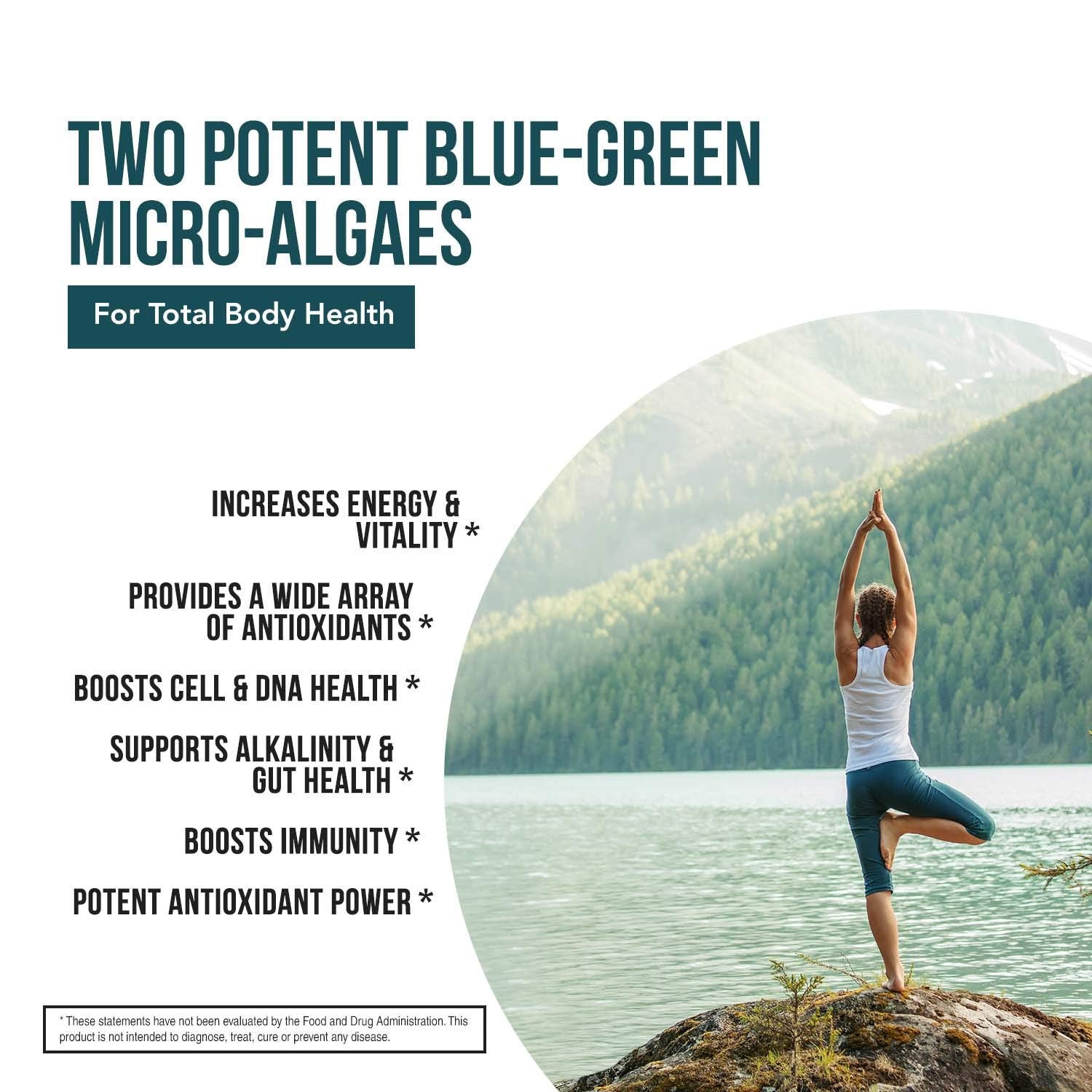 Organic Spirulina & Chlorella Tablets – 4 Organic Certifications, Raw, Non-Irradiated – 50/50 Blue Green Algae Blend – Antioxidant Content Equal to 5 Servings of Vegetables (120 Tablets)