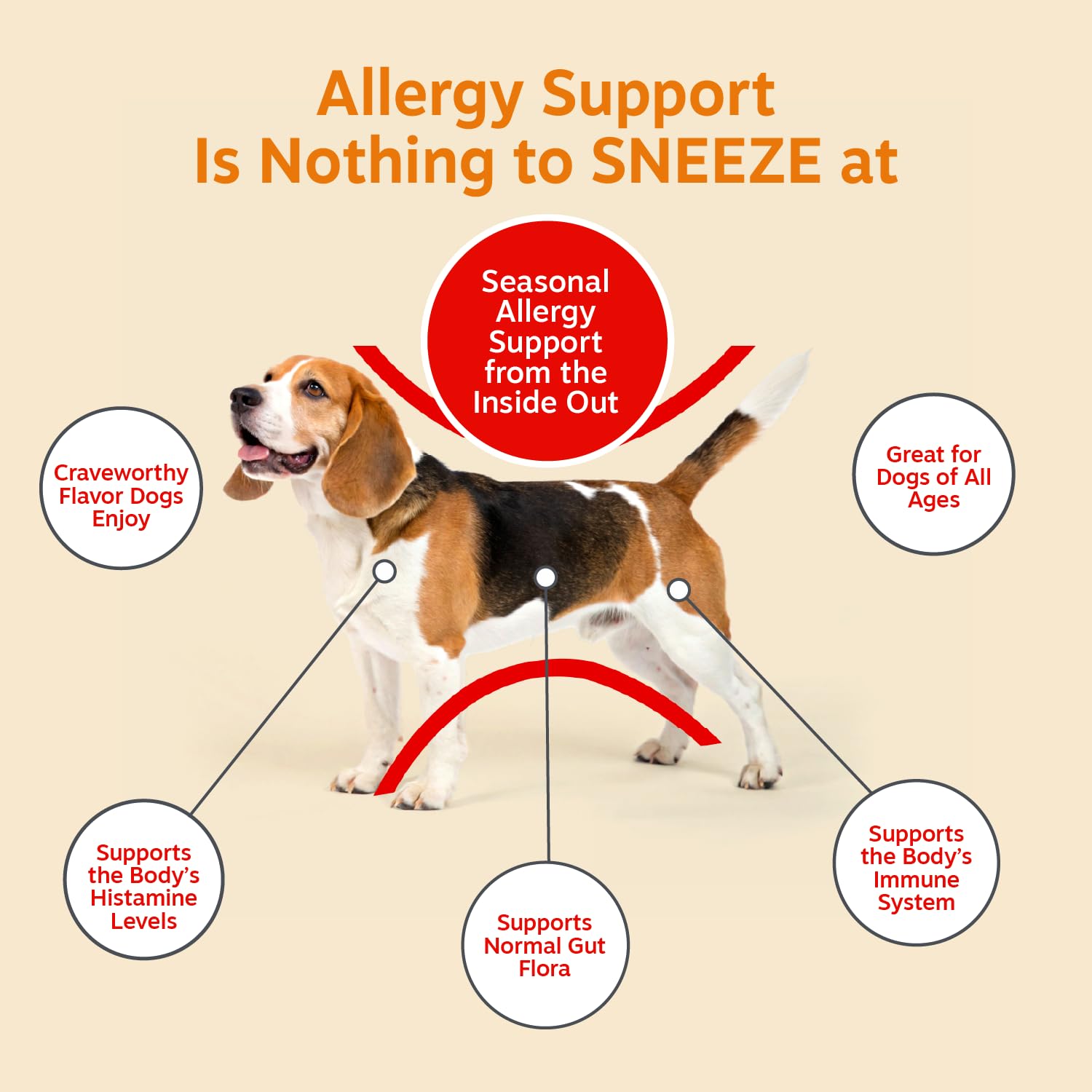 Zesty Paws Allergy Immune Bites - Dog Allergy Chews, Dog Probiotics for Itchy Skin and Ears, Peanut Butter, 90ct