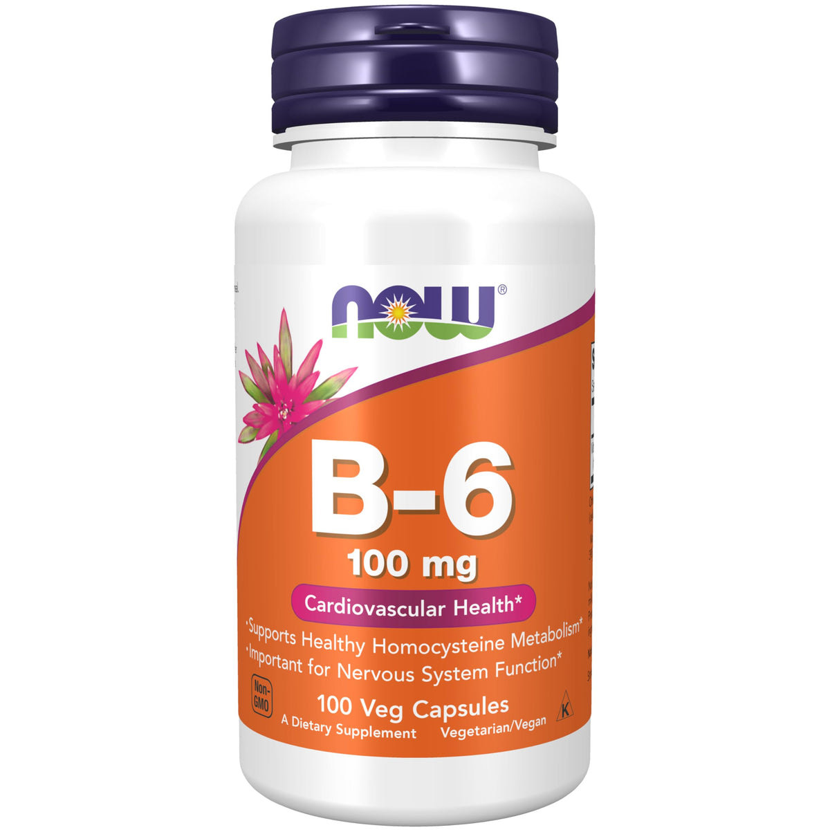 Now Foods B-6 100mg 100 Capsules