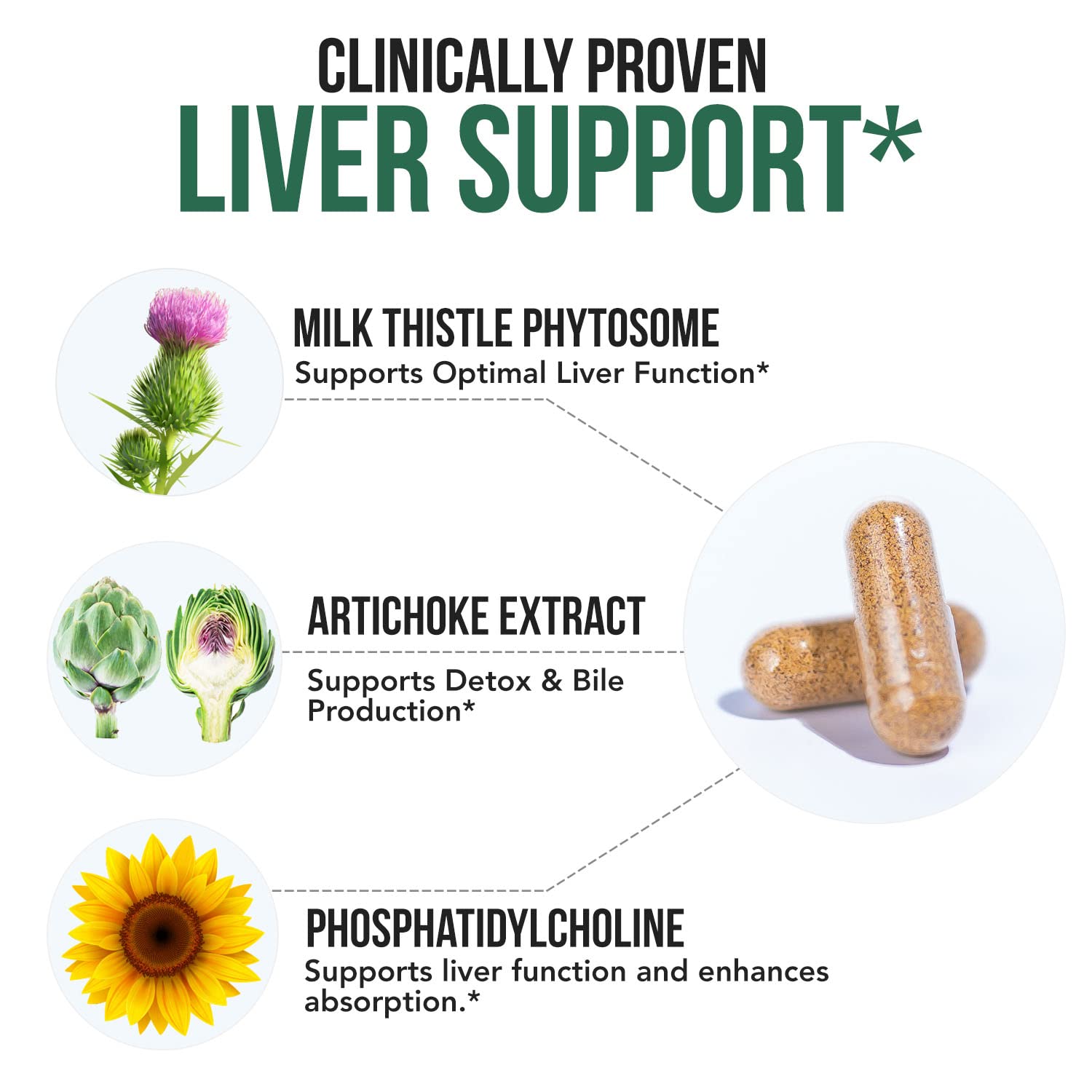 SoActive® Milk Thistle: 10X More Effective Milk Thistle Phytosome, Optimized for Essential Bioactive Silybin A & B Plus Bilear® Artichoke Extract & Bile Enhancer - Liver Support | 60 Servings
