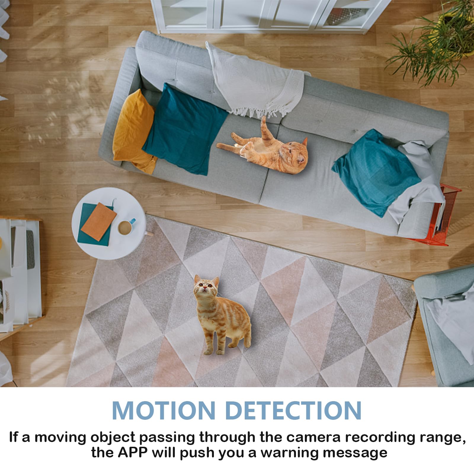 Mini Camera Smoke Detector, HD 1080P Small Hidden Camera WiFi Spy Nanny Cam