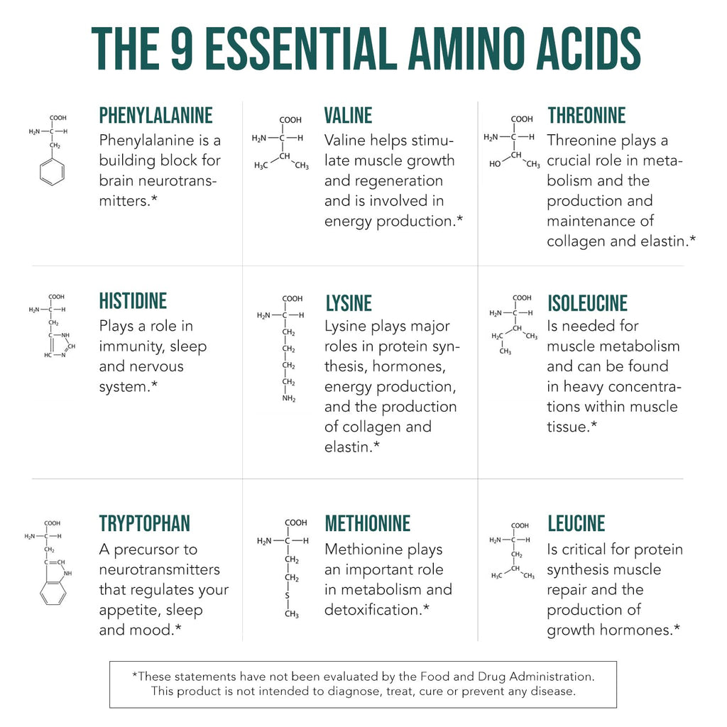 Plant Aminos Organic Essential Amino Acid Supplement (EAAs) & BCAA - 100% Plant-Based Raw, Vegan - All 9 Essential Amino Acids with 18 Total Amino Acids (360 Tablets)