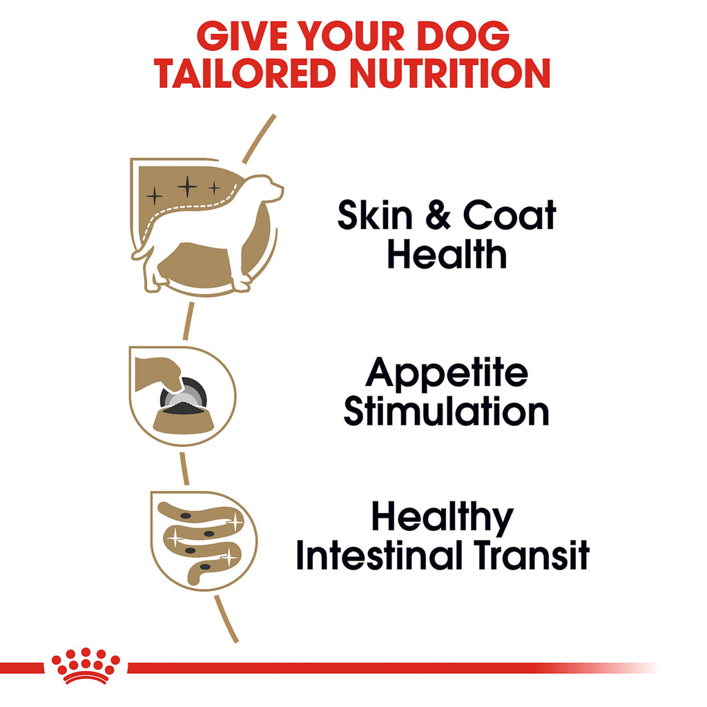 Royal Canin Yorkshire Terrier Adult Wet Dog Food, 3 oz, 6-Pack