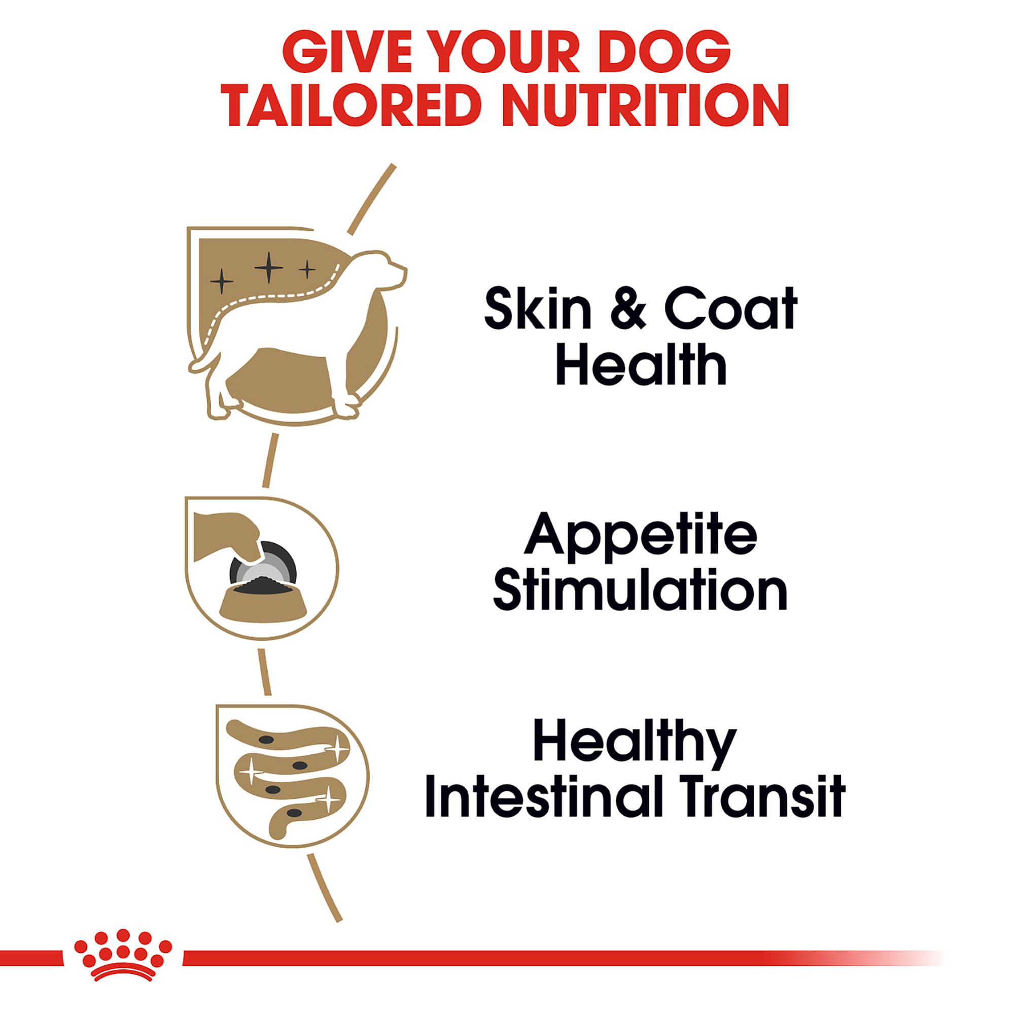 Royal Canin Yorkshire Terrier Adult Wet Dog Food, 3 oz, 6-Pack