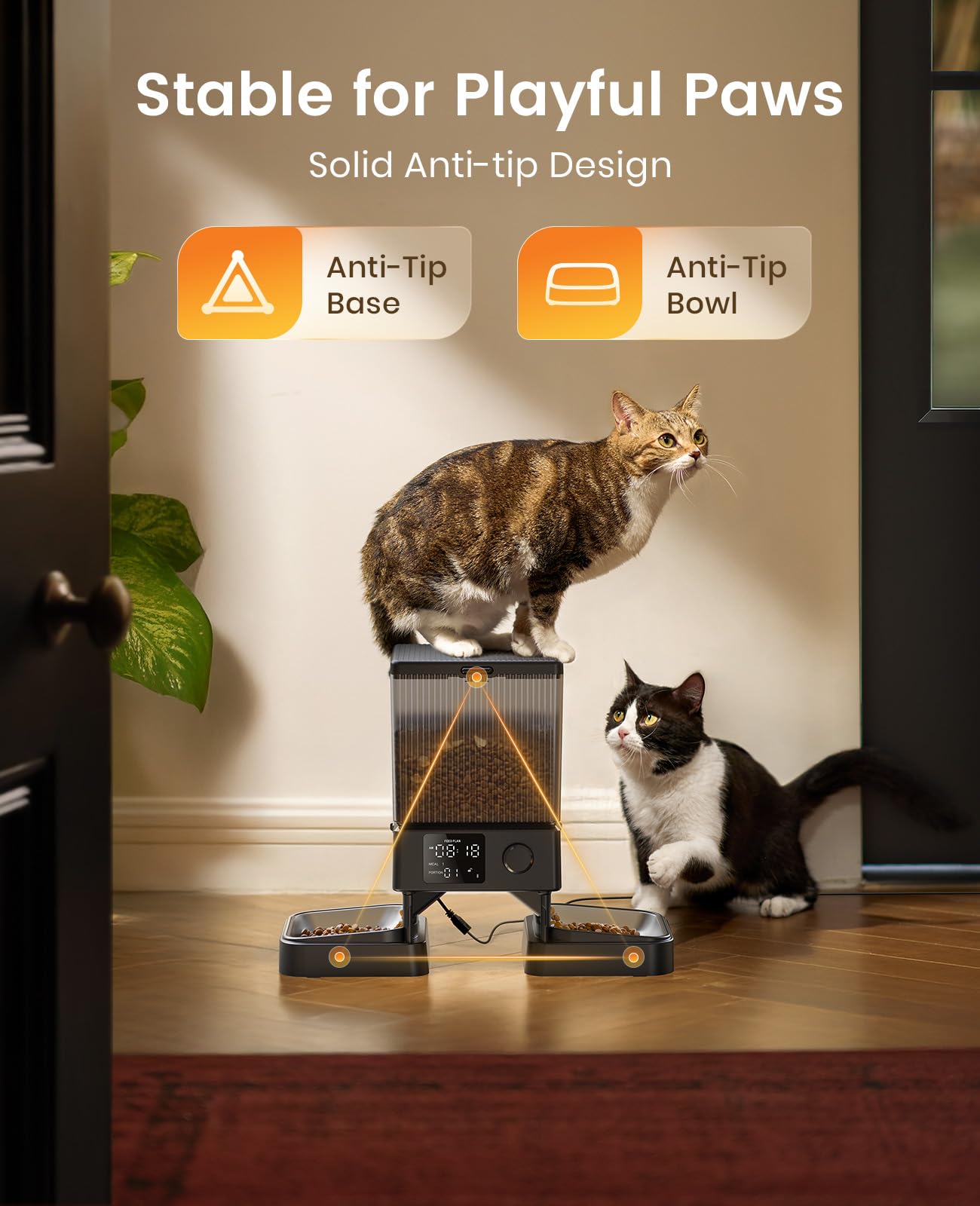 oneisall Automatic Cat Feeder for 2 Cats Pets, Timed Cat Food Dispenser