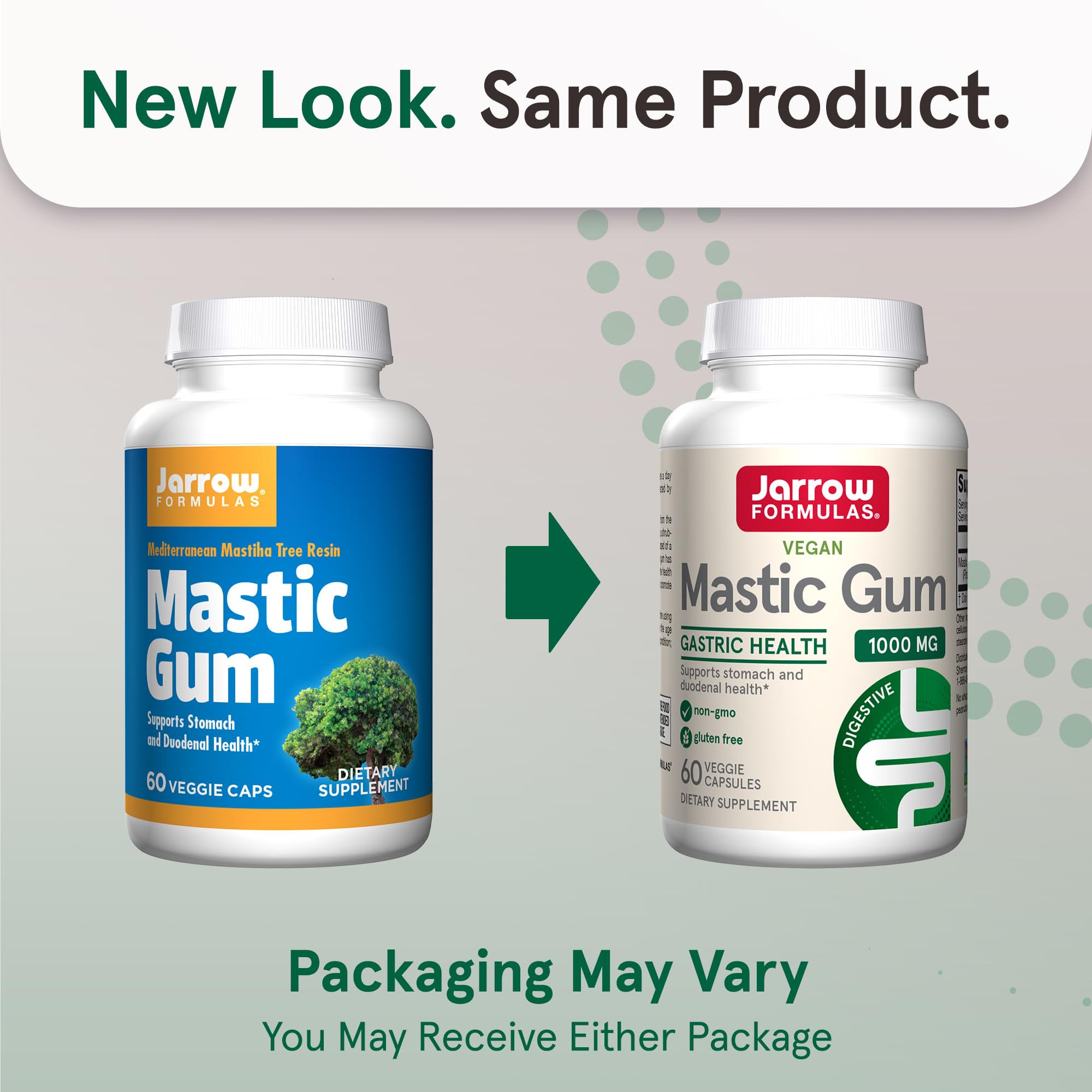 Jarrow Formulas Mastic Gum 1000 mg - 60 Veggie Caps - Mastic Gum Capsules Supporting Stomach and Duodenal Health - 30 Servings