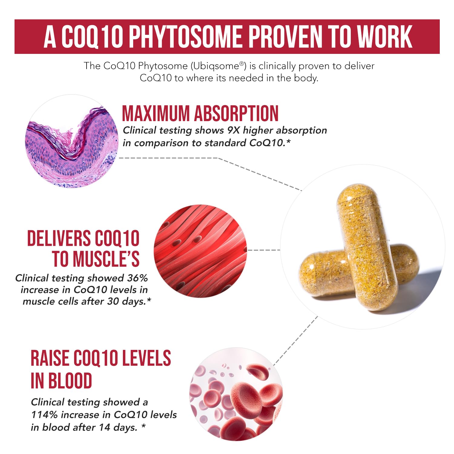 SoActive CoQ10® 250 mg: CoQ10 Phytosome with up to 9X Higher Absorption - Proven Cellular Delivery - Supports Cellular Energy Production (60 Capsules)