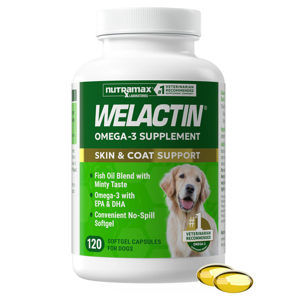 Nutramax Welactin Omega-3 Fish Oil Supplement for Dogs, Softgel Caps, 120ct