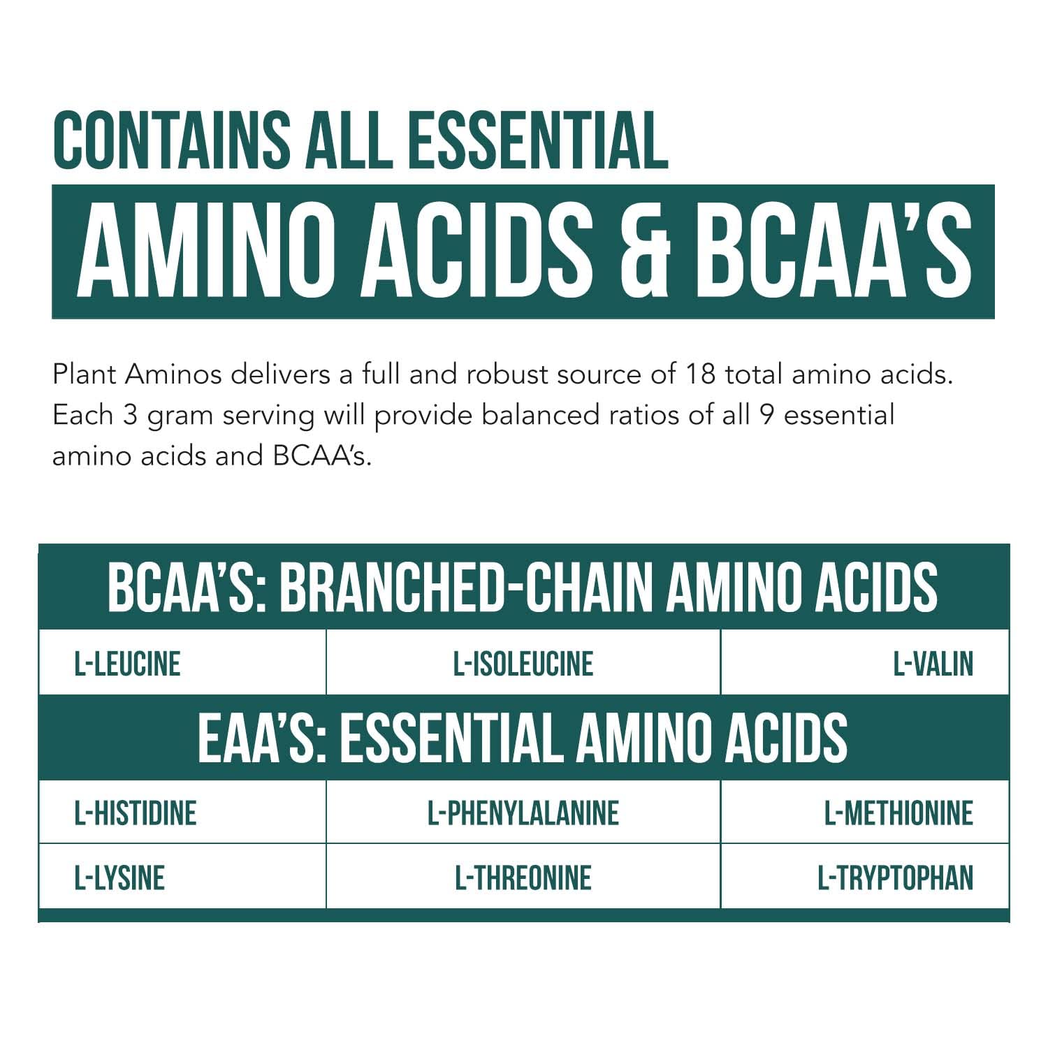 Plant Aminos Organic Essential Amino Acid Supplement (EAAs) & BCAA - 100% Plant-Based Raw, Vegan - All 9 Essential Amino Acids with 18 Total Amino Acids (360 Tablets)
