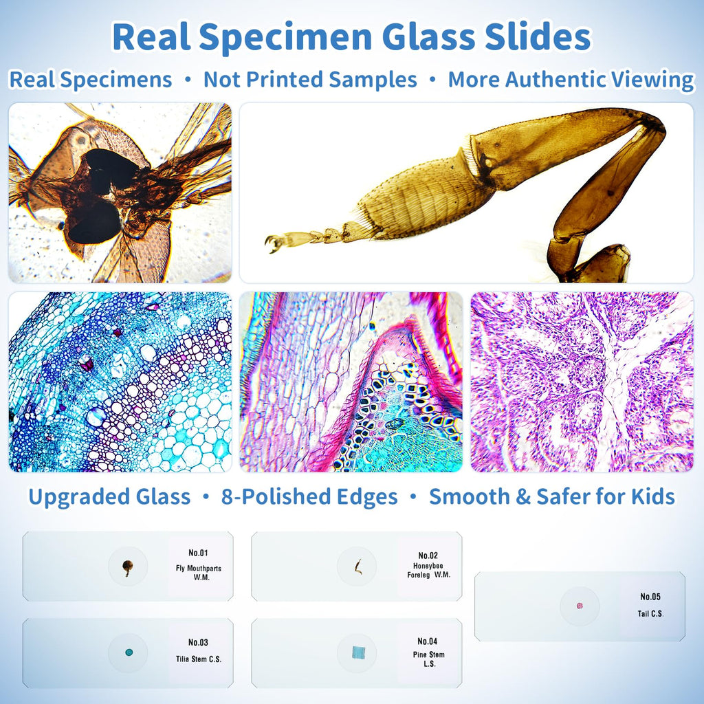 Kids Digital Microscope Science Gift: Complete STEM Toy Kit for Ages 4-12