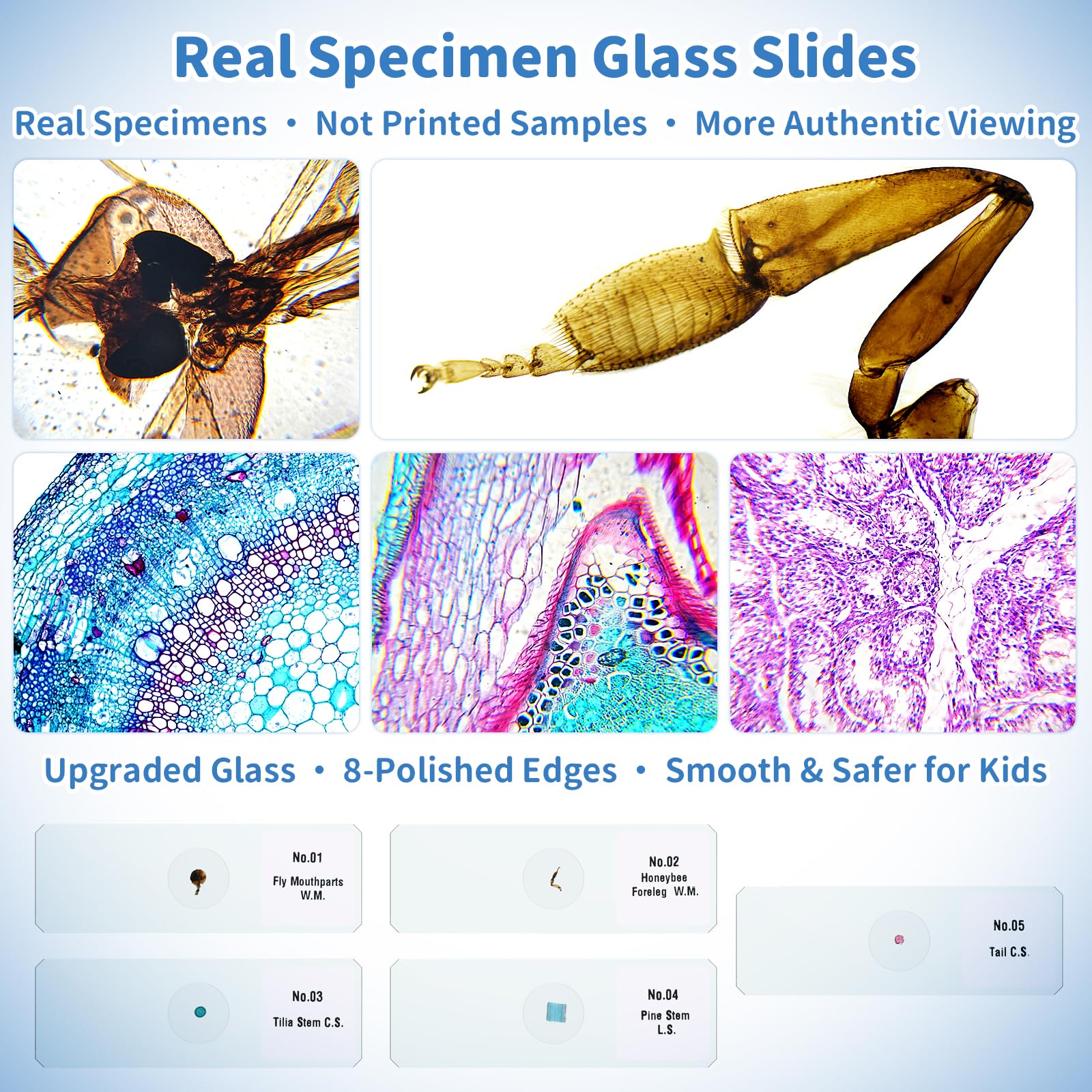 Kids Digital Microscope Science Gift: Complete STEM Toy Kit for Ages 4-12