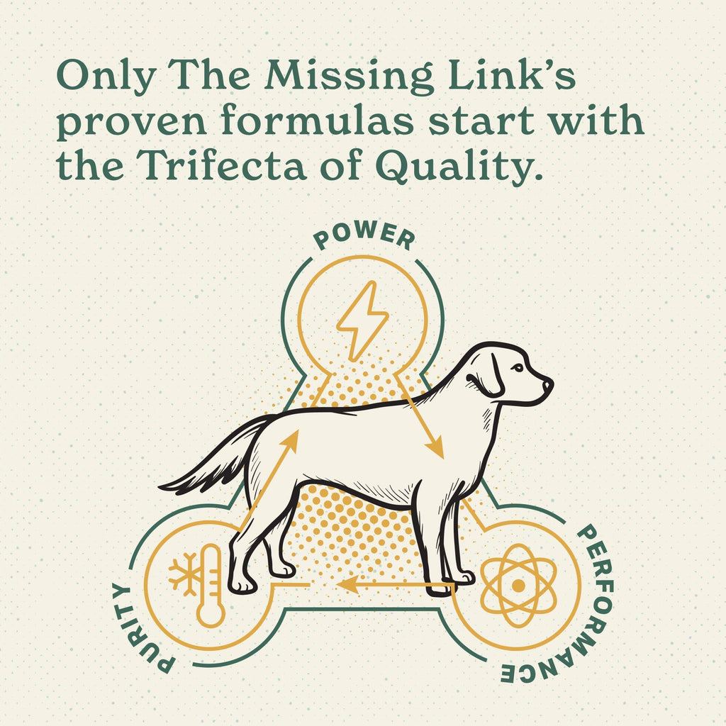 The Missing Link Hip & Joint + Probiotics Supplement 1lb Bag - Superfood Powder for Dog Cartilage & Bone Health, Joint Mobility & Flexibility