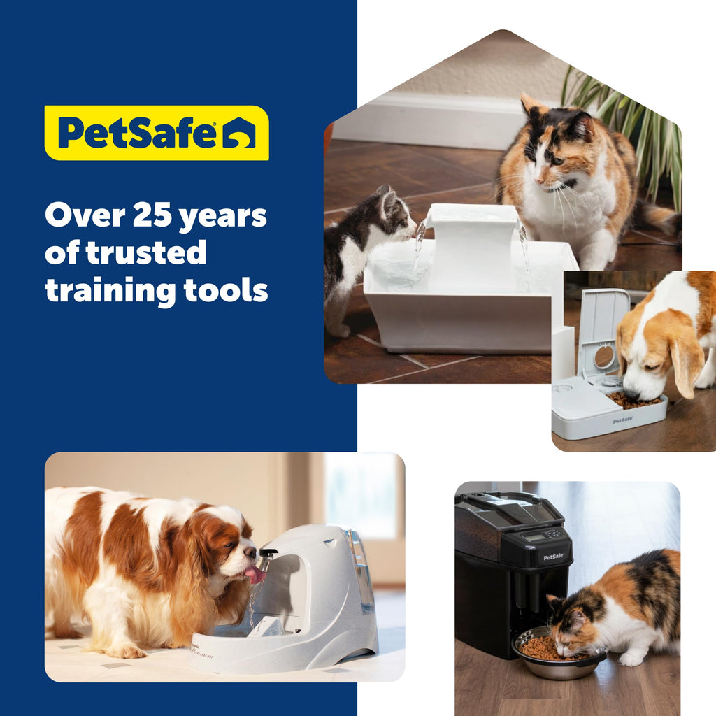 PetSafe Analog 2 Meal Pet Feeder, Dog & Cat, 3 Cup/16 oz, Tamper-Resistant