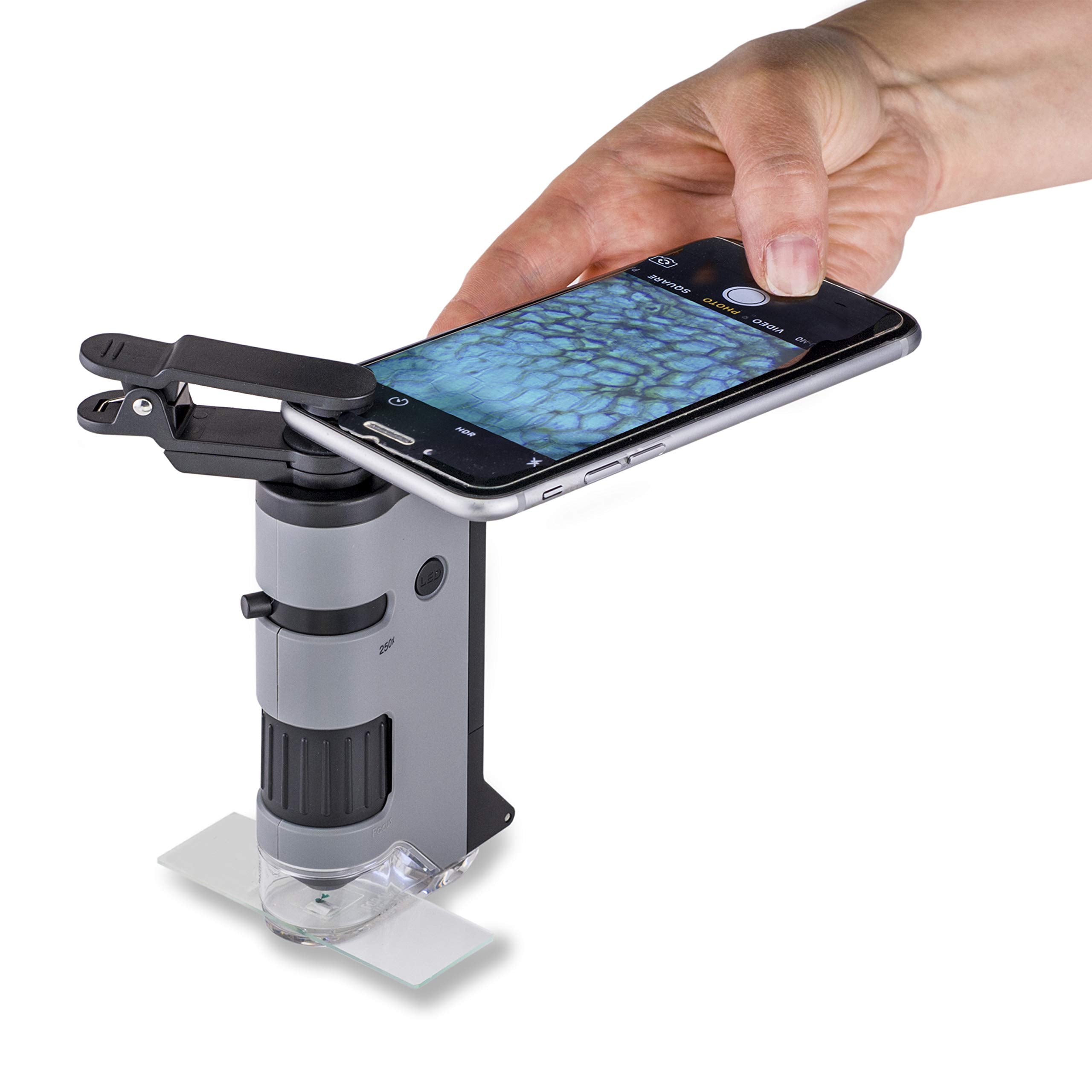Carson MicroFlip 100x-250x LED and UV Lighted Pocket Microscope with Flip Down Slide Base and Adapter with CarsonCam Phone App - Bundle Included with 24 Prepared Insect and Animal Slides (MP-250BUN)