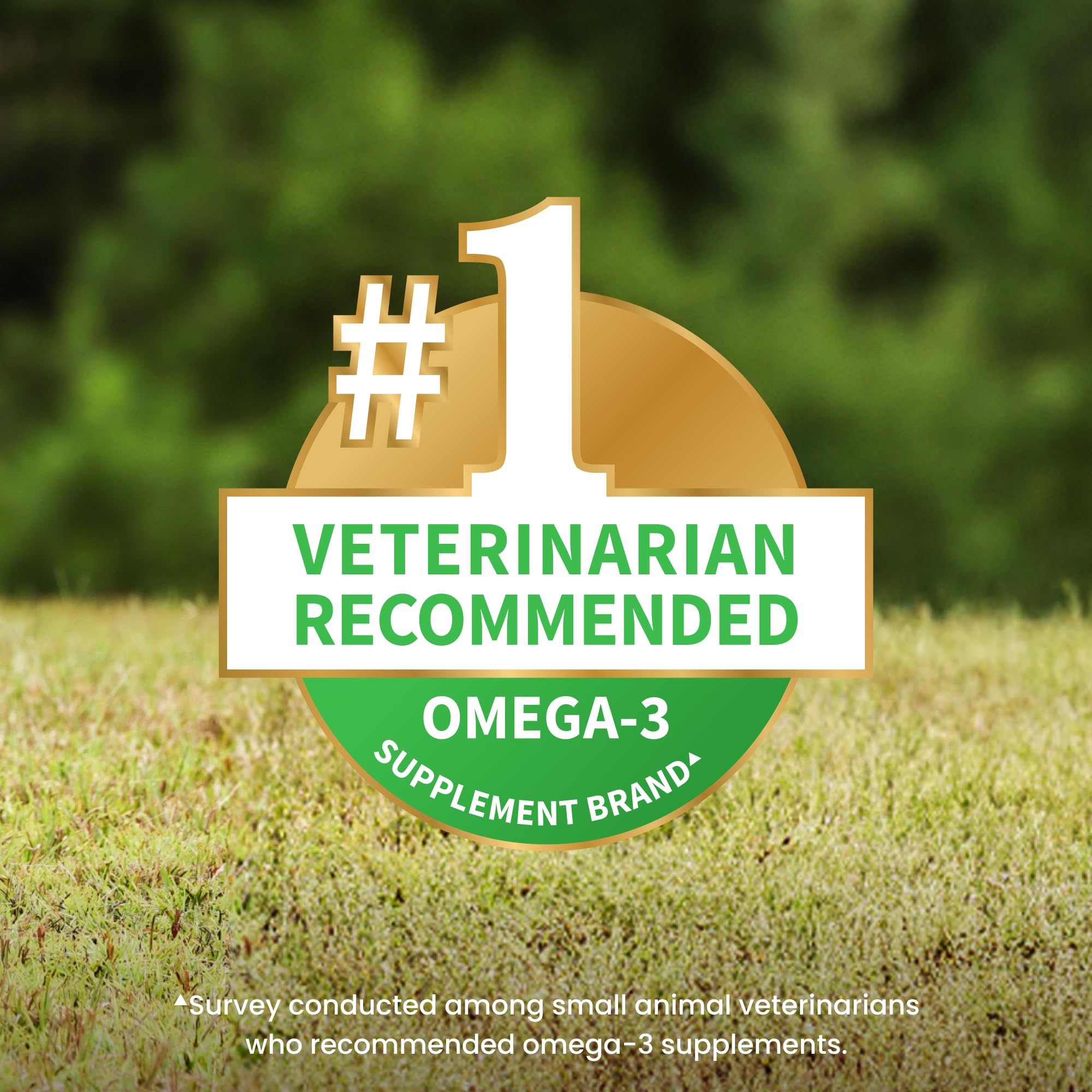 Nutramax Welactin Omega-3 Fish Oil Dog Supplement, Skin & Coat, Liquid 16oz
