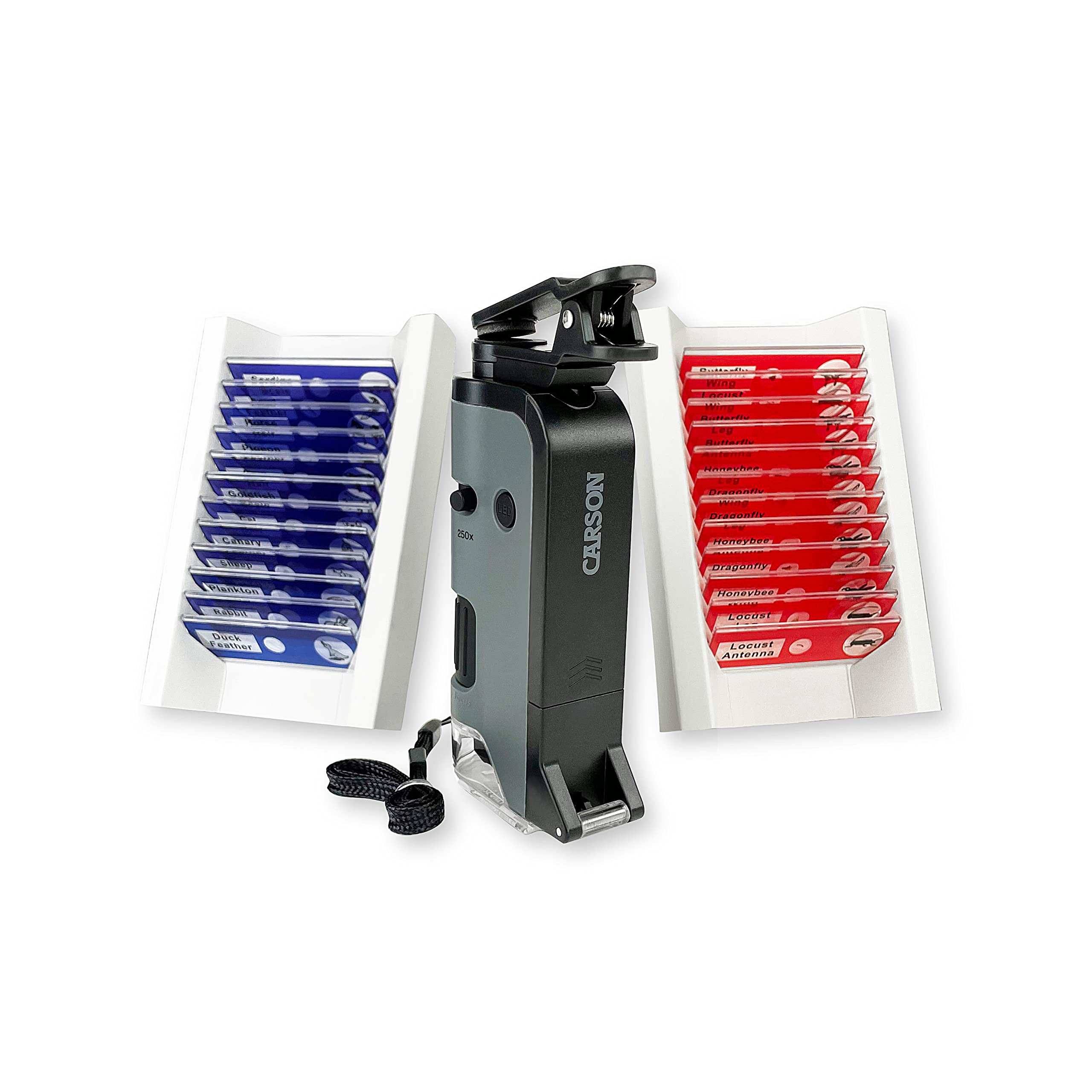 Carson MicroFlip 100x-250x LED and UV Lighted Pocket Microscope with Flip Down Slide Base and Adapter with CarsonCam Phone App - Bundle Included with 24 Prepared Insect and Animal Slides (MP-250BUN)