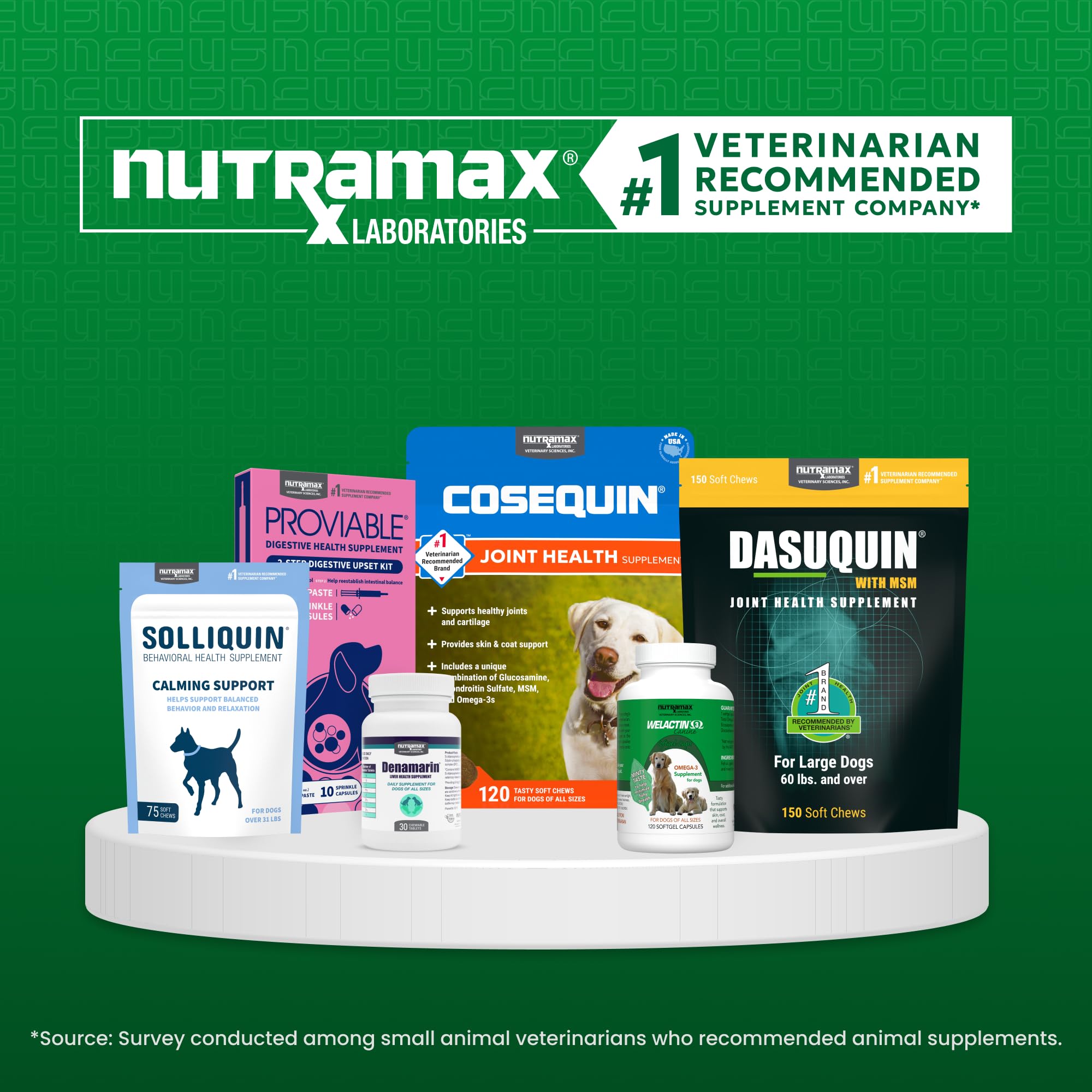 Nutramax Welactin Omega-3 Fish Oil Dog Supplement, Skin & Coat, Liquid 16oz