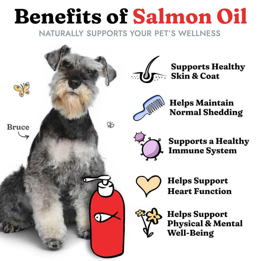 Salmon Oil for Dogs & Cats, Healthy Skin & Coat, Liquid Fish Omega 3, 32 oz