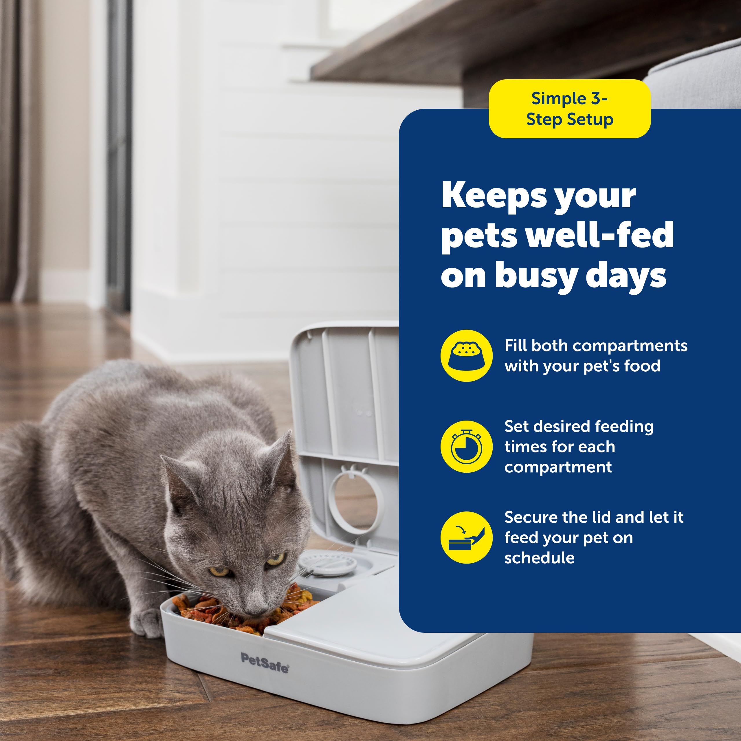 PetSafe Analog 2 Meal Pet Feeder, Dog & Cat, 3 Cup/16 oz, Tamper-Resistant