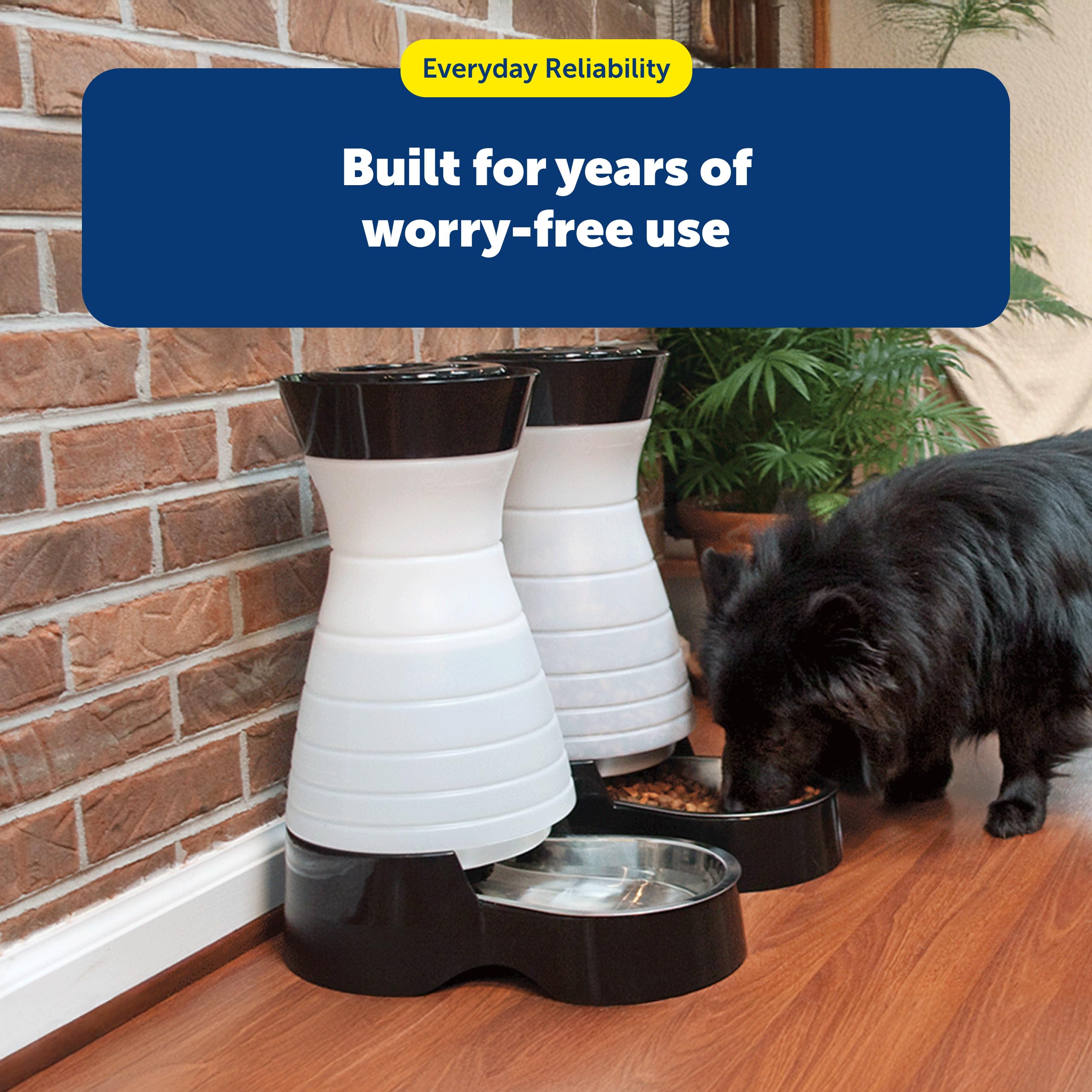 PetSafe Healthy Pet Food Station, 4 lb Gravity Feeder, Cats & Dogs, Medium