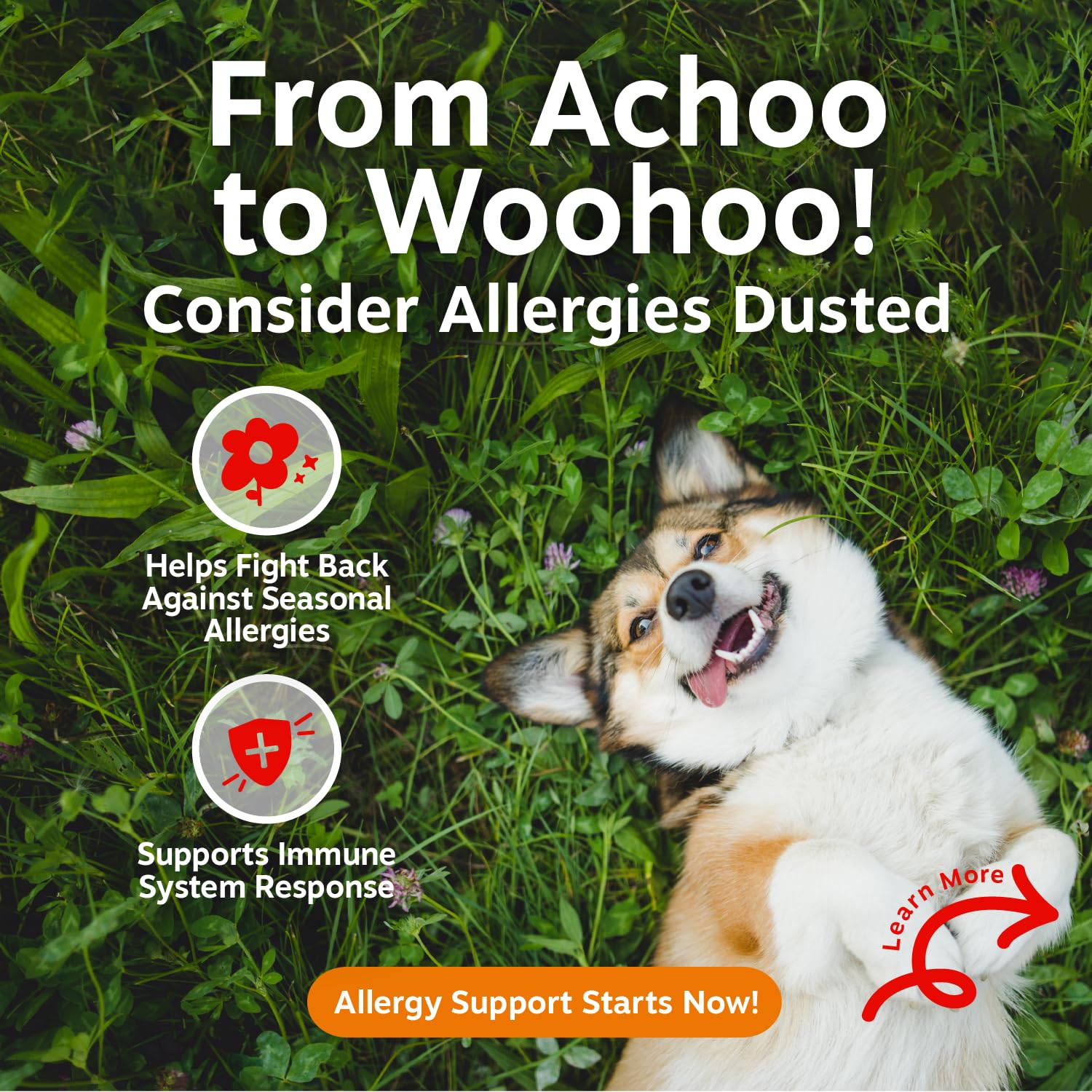 Zesty Paws Allergy Immune Bites - Dog Allergy Chews, Dog Probiotics for Itchy Skin and Ears, Peanut Butter, 90ct