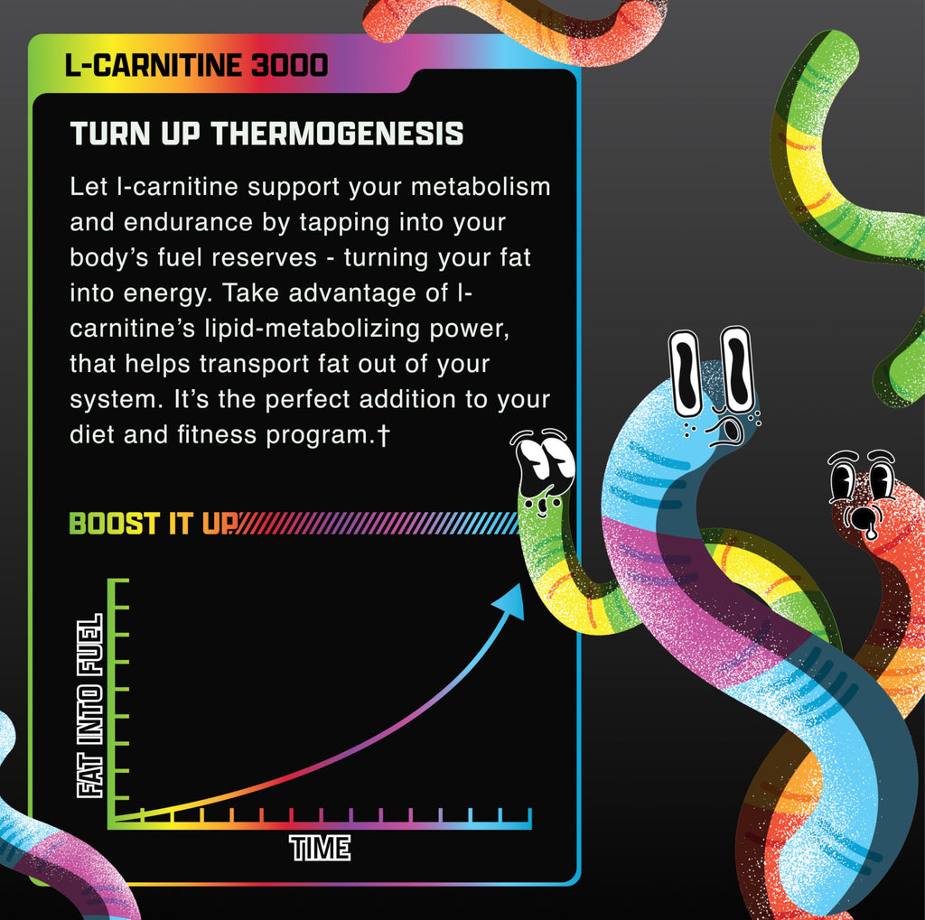 Nutrex Research L Carnitine 3000 - Clinically Dosed L-Carnitine Liquid for Energy, Metabolism & Muscle Recovery - Delicious Sour Gummy Worms Flavour - No Sugar, No Carbs, No Stimulants - 31 Servings