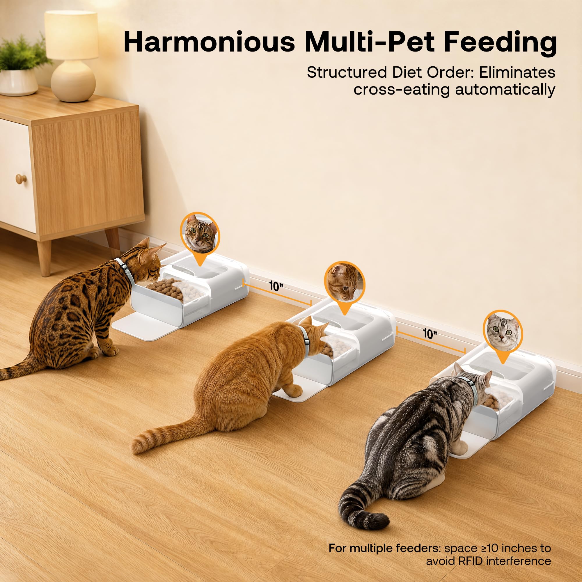 HEAPETS RFID Automatic Cat Feeder with Collar Sensor, Anti-Stealing Food Dispenser with Sealed Lid for Wet Dry Food and Different Diet for Multi-Pet Home, Auto Pet Feeder for Cats & Small Dogs, White