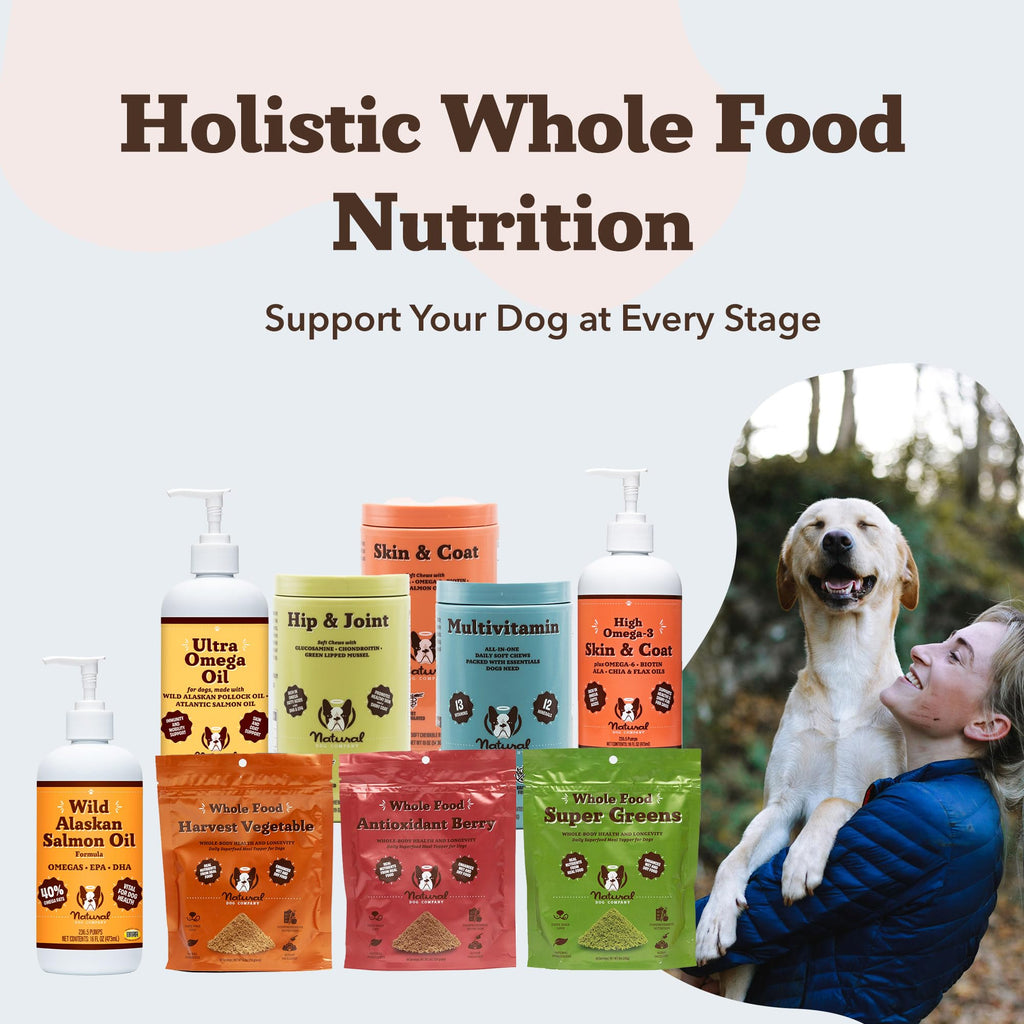 Natural Dog Company Wild Alaskan Salmon Oil for Dogs - Omega 3 Fish Oil Supplement with EPA & DHA for Skin, Coat, Itch Relief, Joints, Heart & Immune Support, Liquid Food Topper, 16 oz