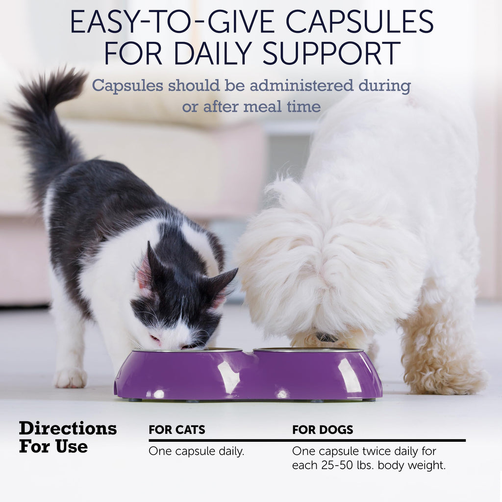 NuLife Hepato Support - Liver Support for Dogs & Cats w/Silymarin - 180ct
