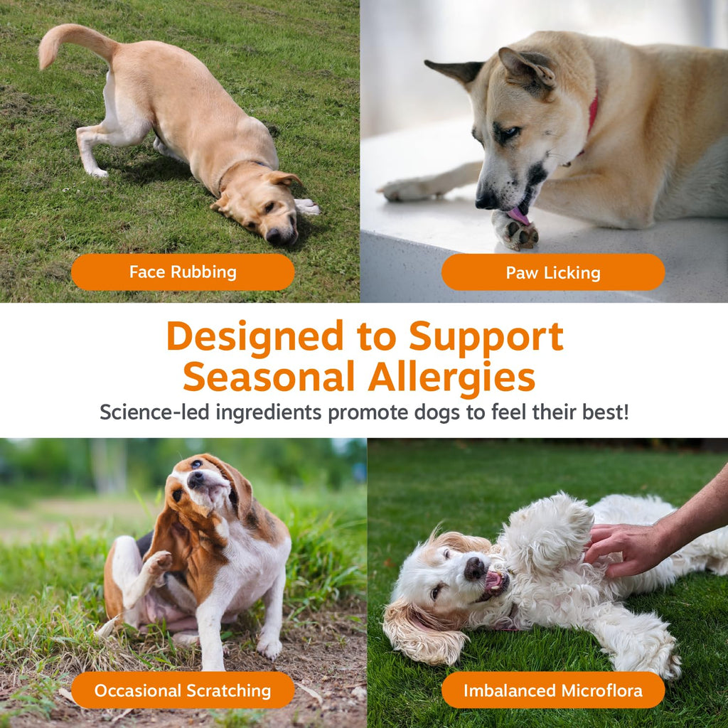Zesty Paws Allergy Immune Bites - Dog Allergy Chews, Dog Probiotics for Itchy Skin and Ears, Peanut Butter, 90ct