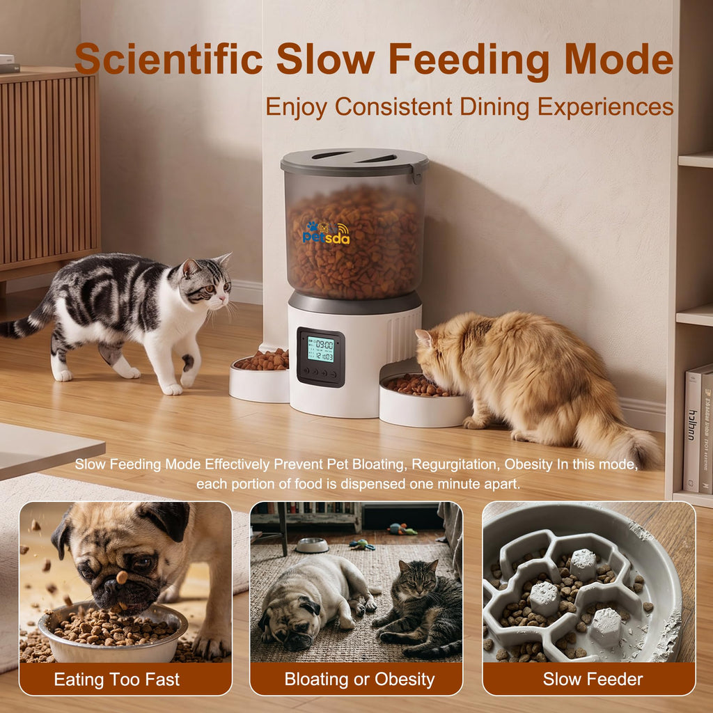 Automatic Cat Feeder for 2 Cats 4L Timed Cat Dry Food Dispenser Double Bowl Auto Pet Feeder and Small Dogs Dual Power Supply 9 Meals Programmable 1-15 Portion Per Day with Stainless Bowl Easy Clean