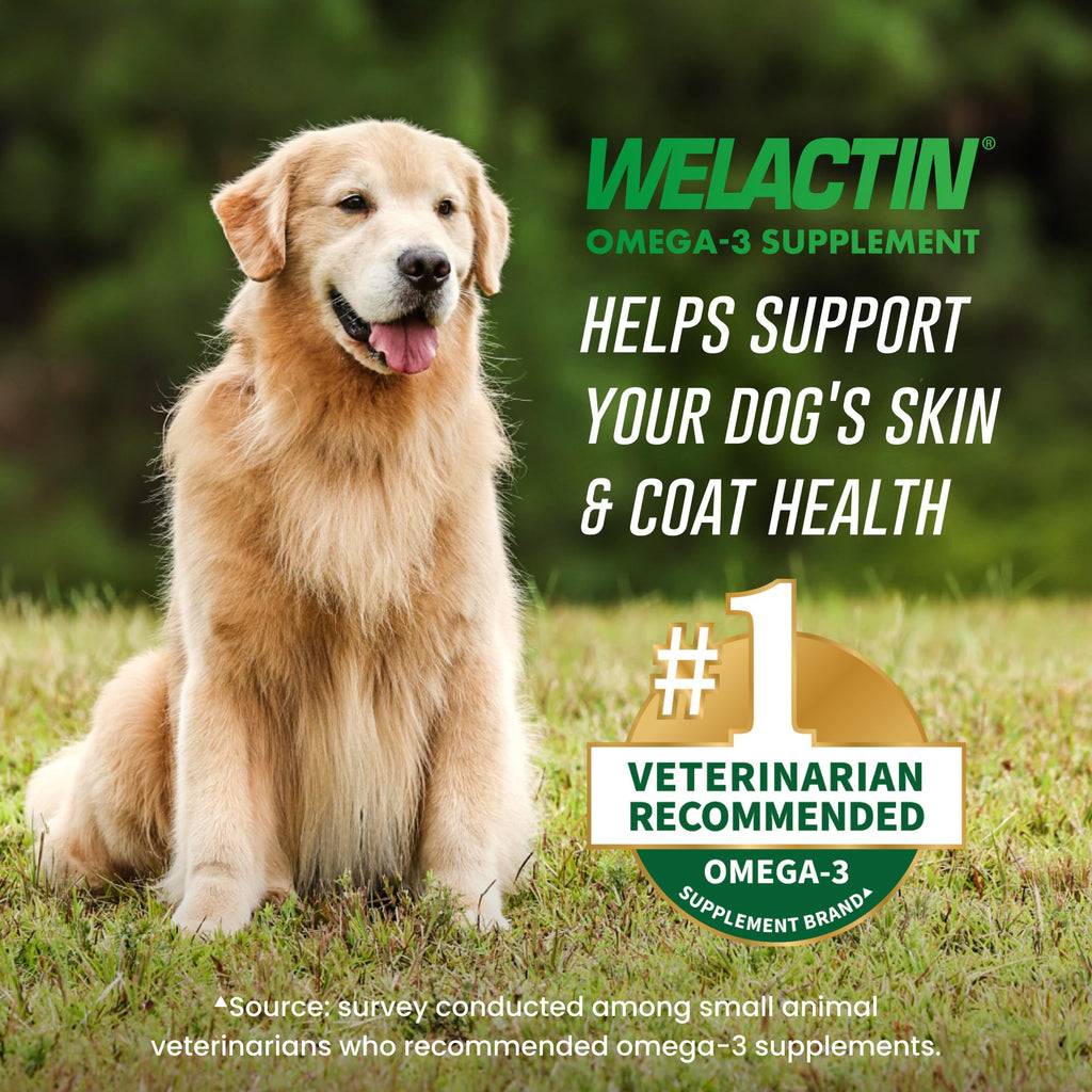 Nutramax Welactin Omega-3 Fish Oil Supplement for Dogs, Softgel Caps, 120ct