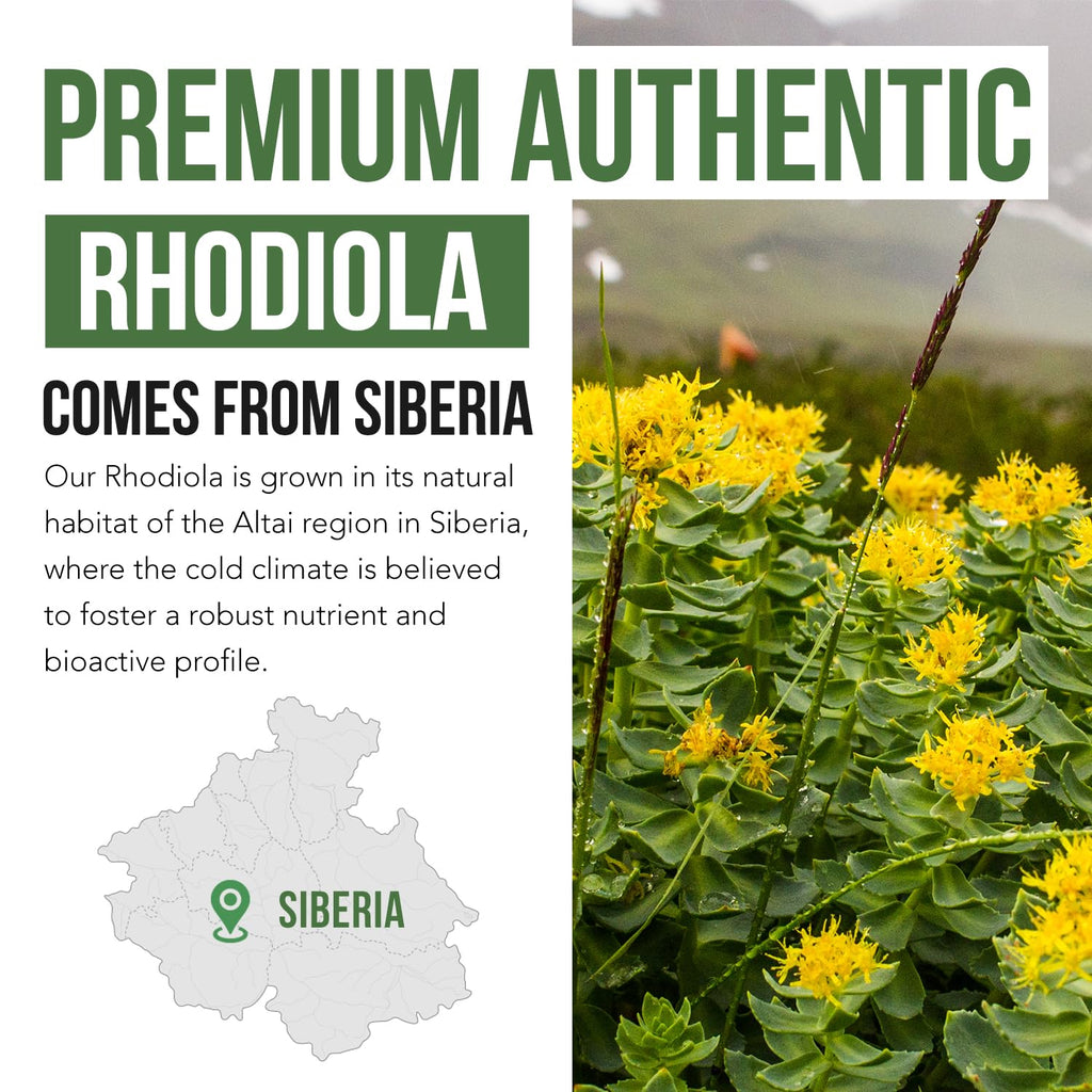 Max Strength Siberian Rhodiola®: Rhodiola Rosea 5% Rosavins, 2% Salidroside & BioPerine® for Enhanced Absorption – Helps Support Stress, Energy & Focus* – Grown in Siberia, DNA Verified (60 Capsules)