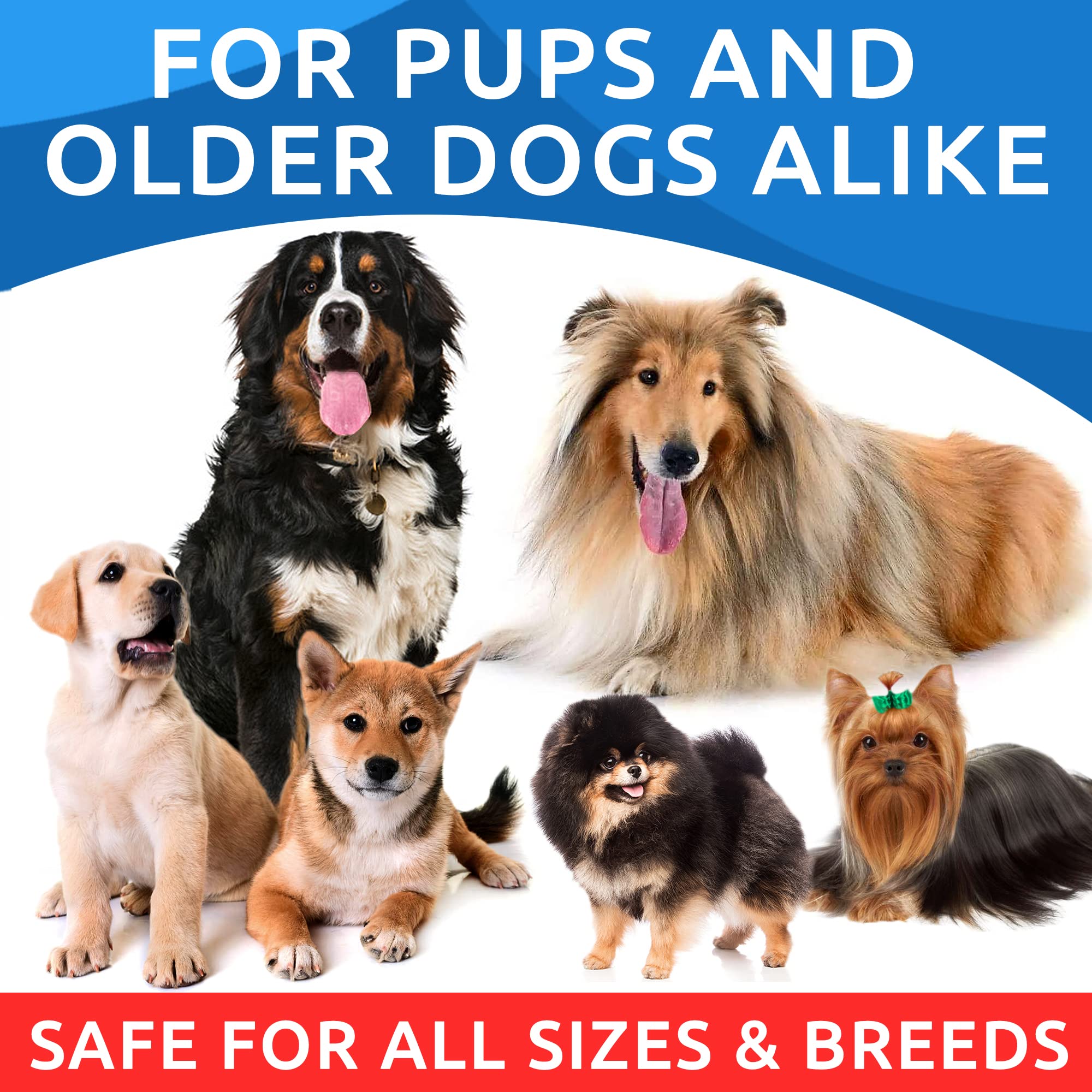 Omega 3 for Dogs - Fish Oil for Skin & Coat Health, Itch & Allergy Support
