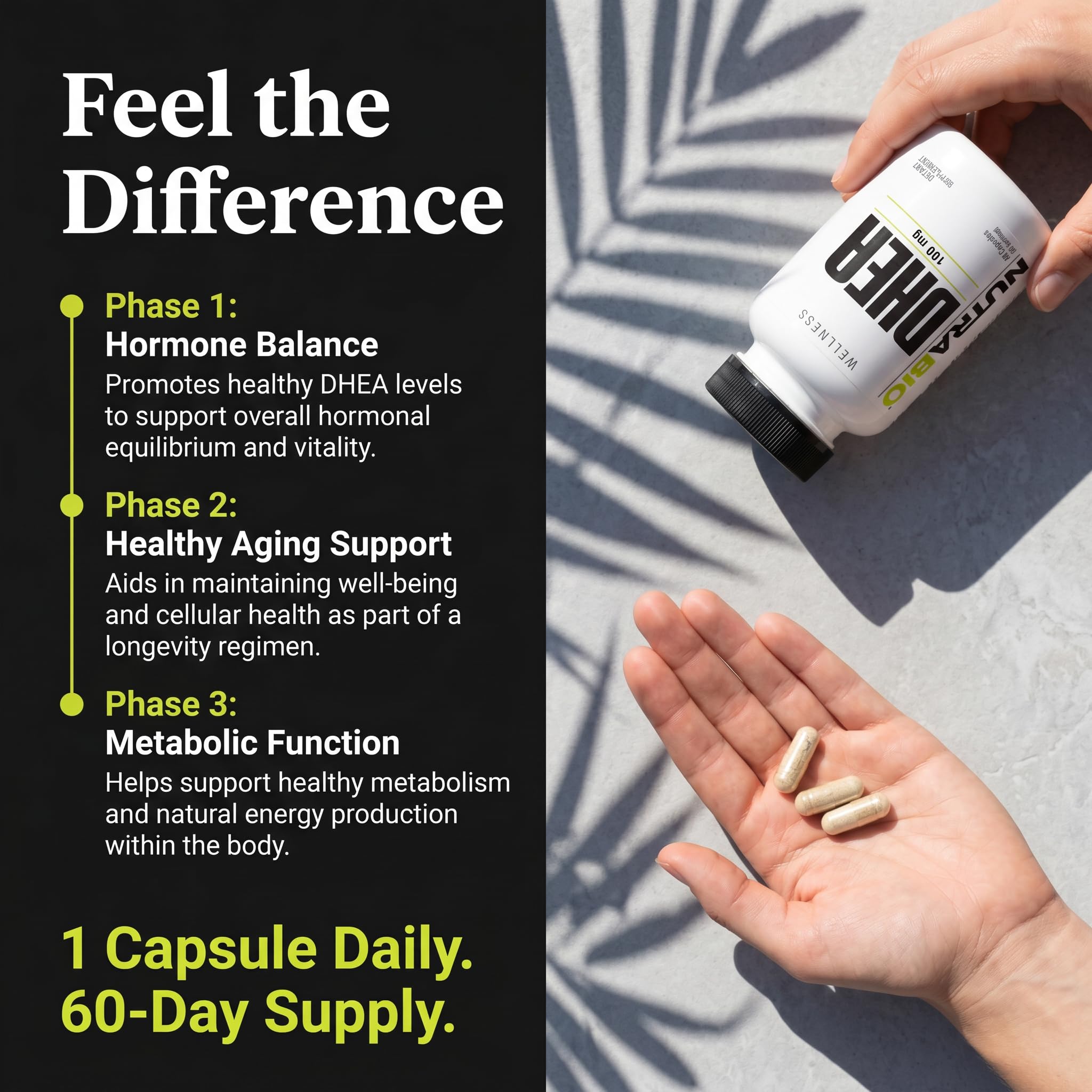 NutraBio DHEA Supplement for Men and Women - 100 mg - 60 Capsules