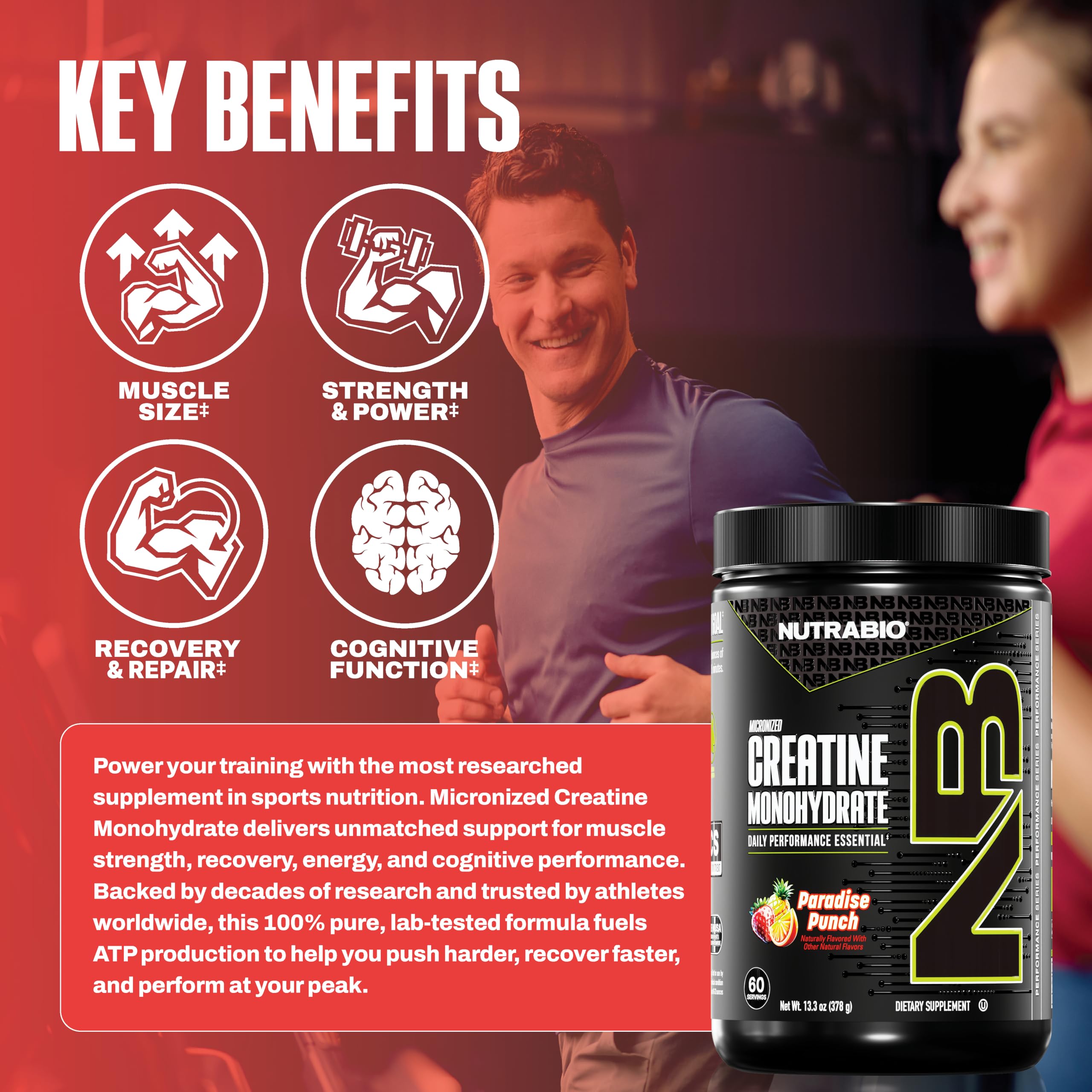 NutraBio Pure Micronized Creatine Monohydrate Powder Supplement,Paradise Punch,(300g)-Supports Bulk Muscle Energy, Recovery, and Strength-HPLC Tested Creatine Powder Supplement for Men and Women