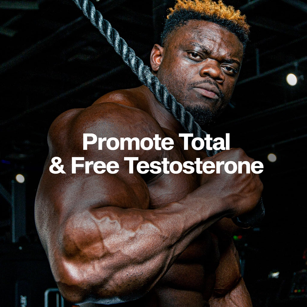 MuscleTech Testosterone Booster for Men, AlphaTest (150 Capsules) - Workout Testosterone Supplement for Men - Sports Nutrition Testosterone Booster for Endurance, Strength & Muscle Builder